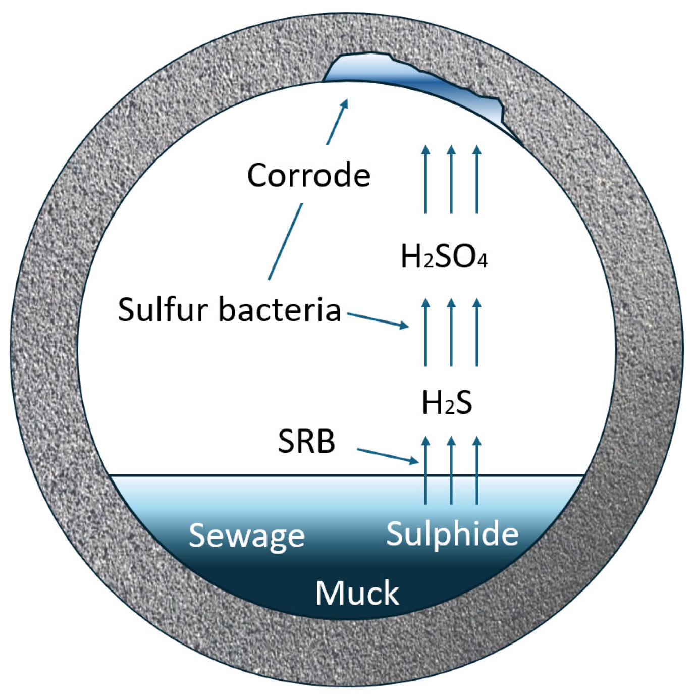 Buildings 15 03772 g001