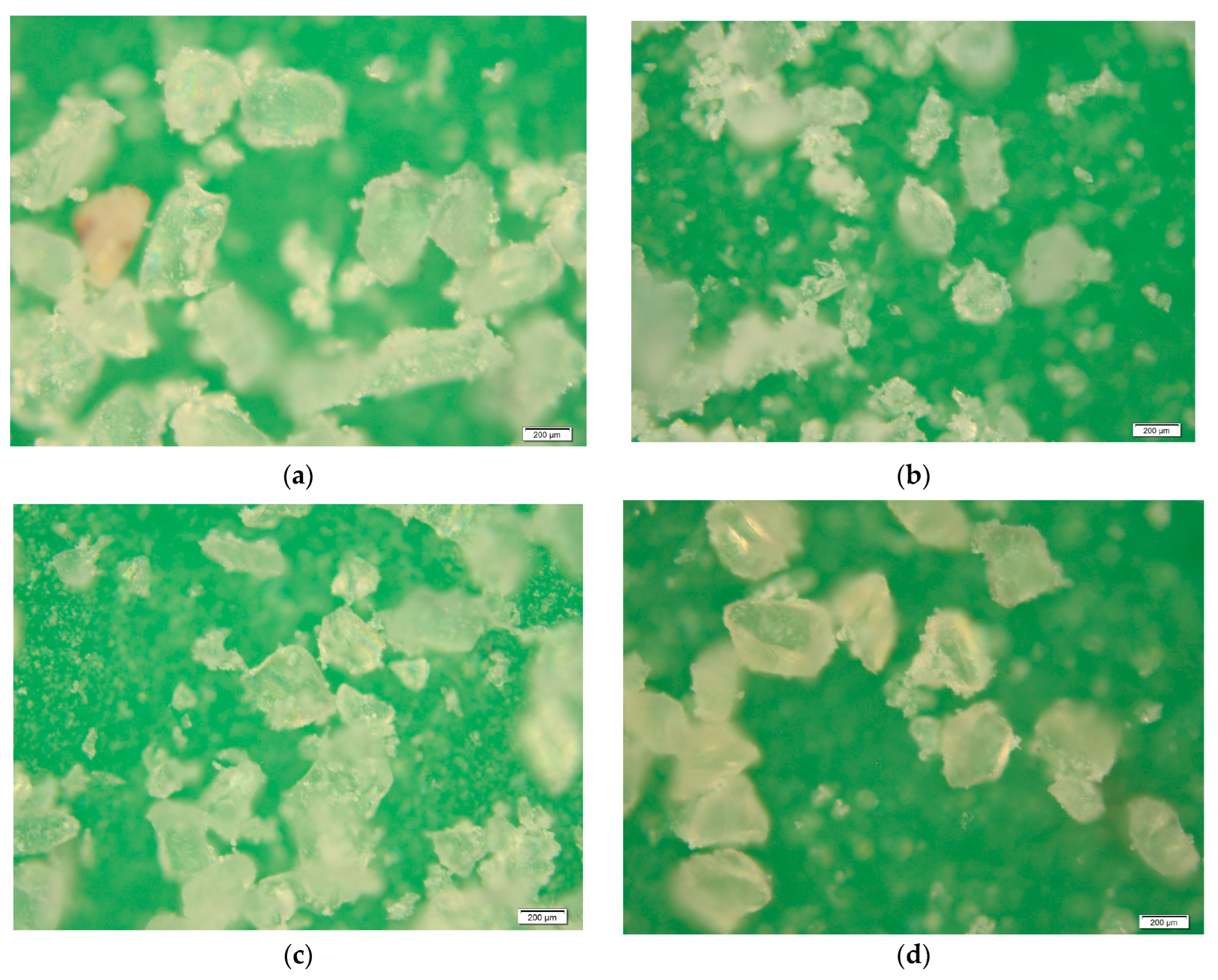 Buildings 15 03925 g002