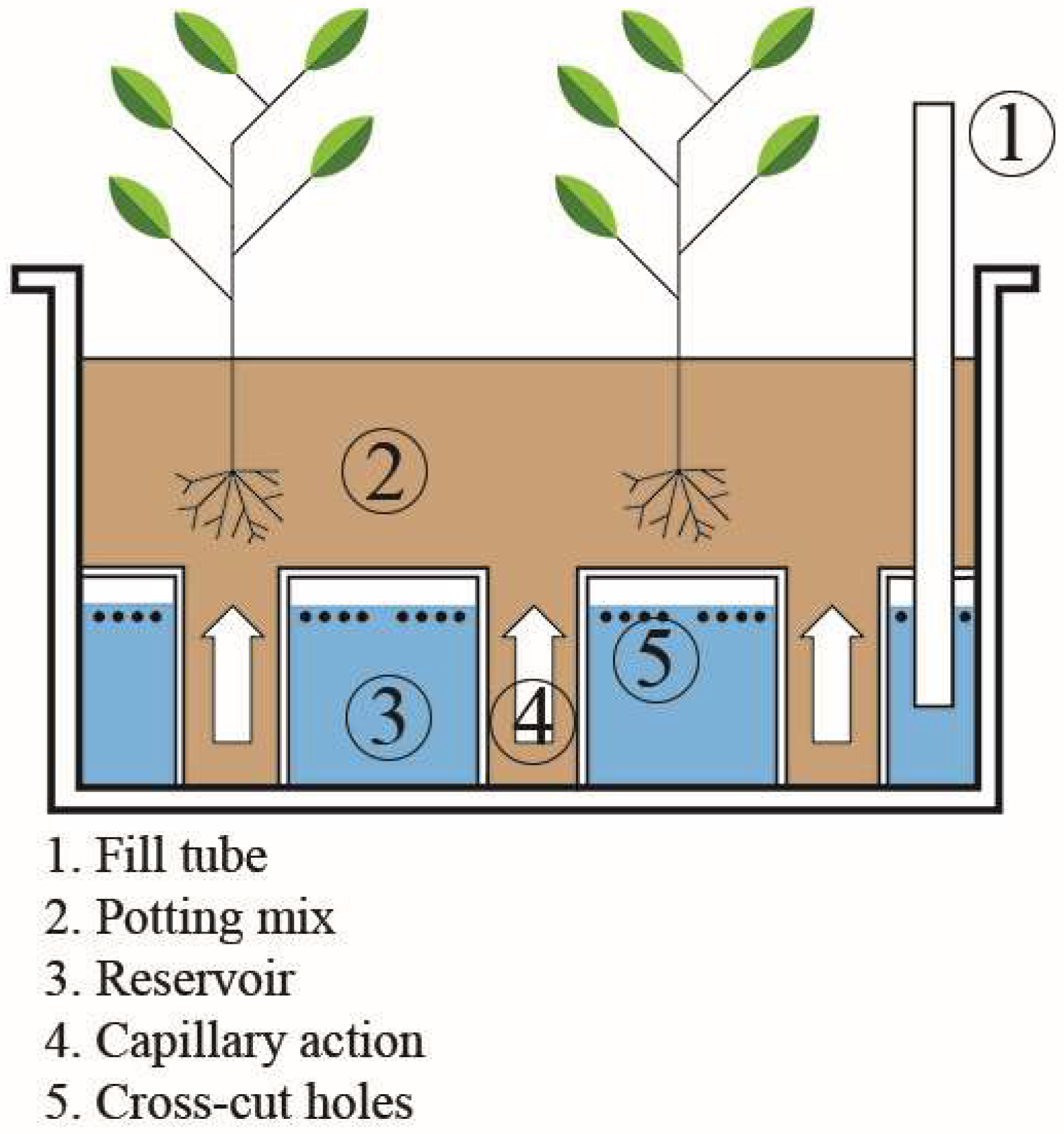 Buildings 15 04033 g012