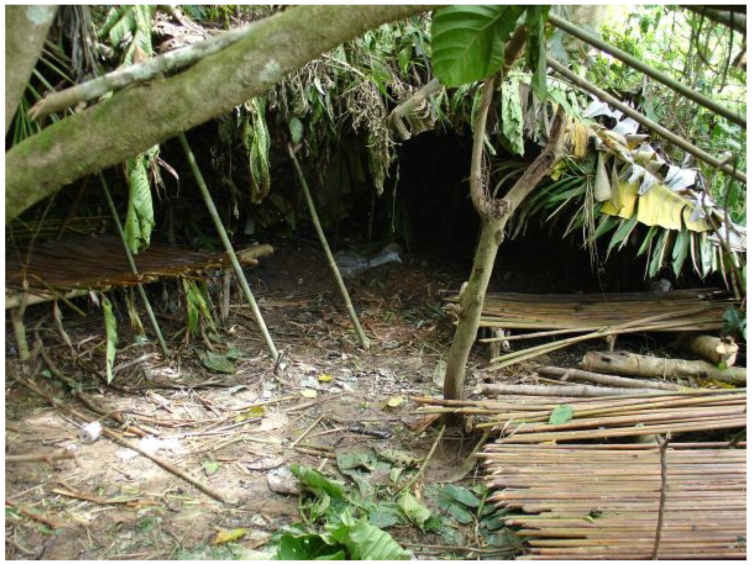 Buildings 15 04165 g008