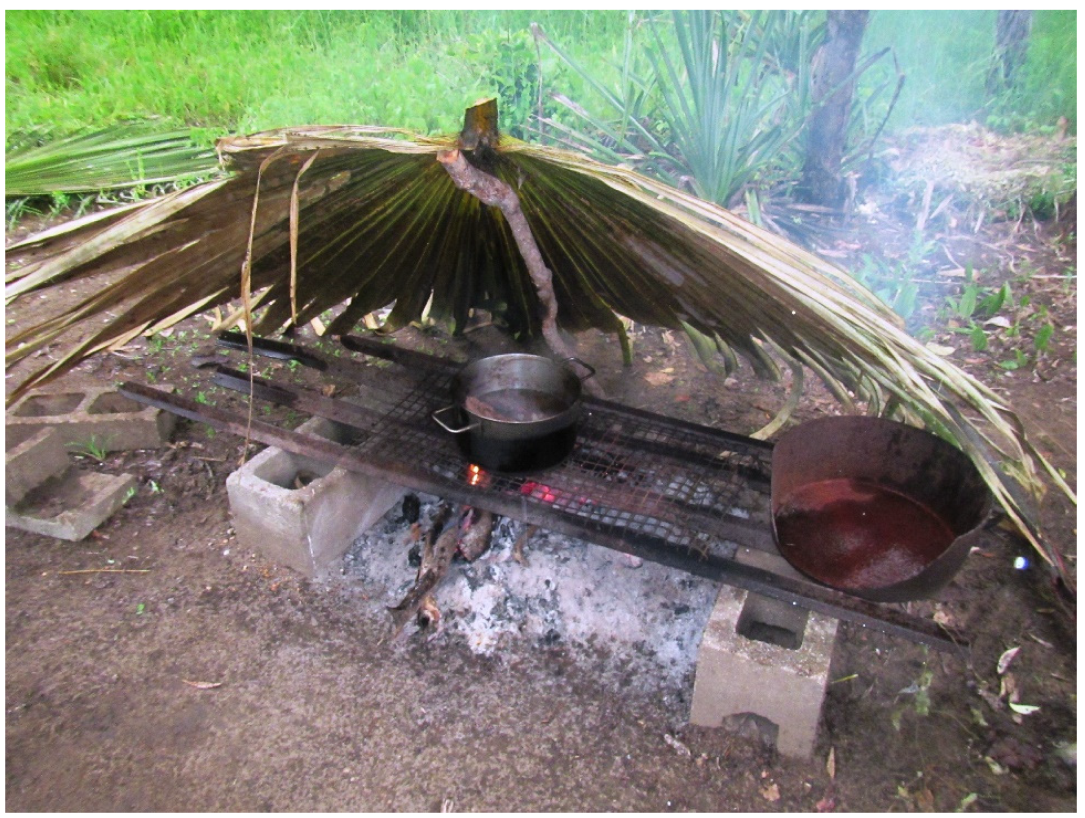 Buildings 15 04165 g010