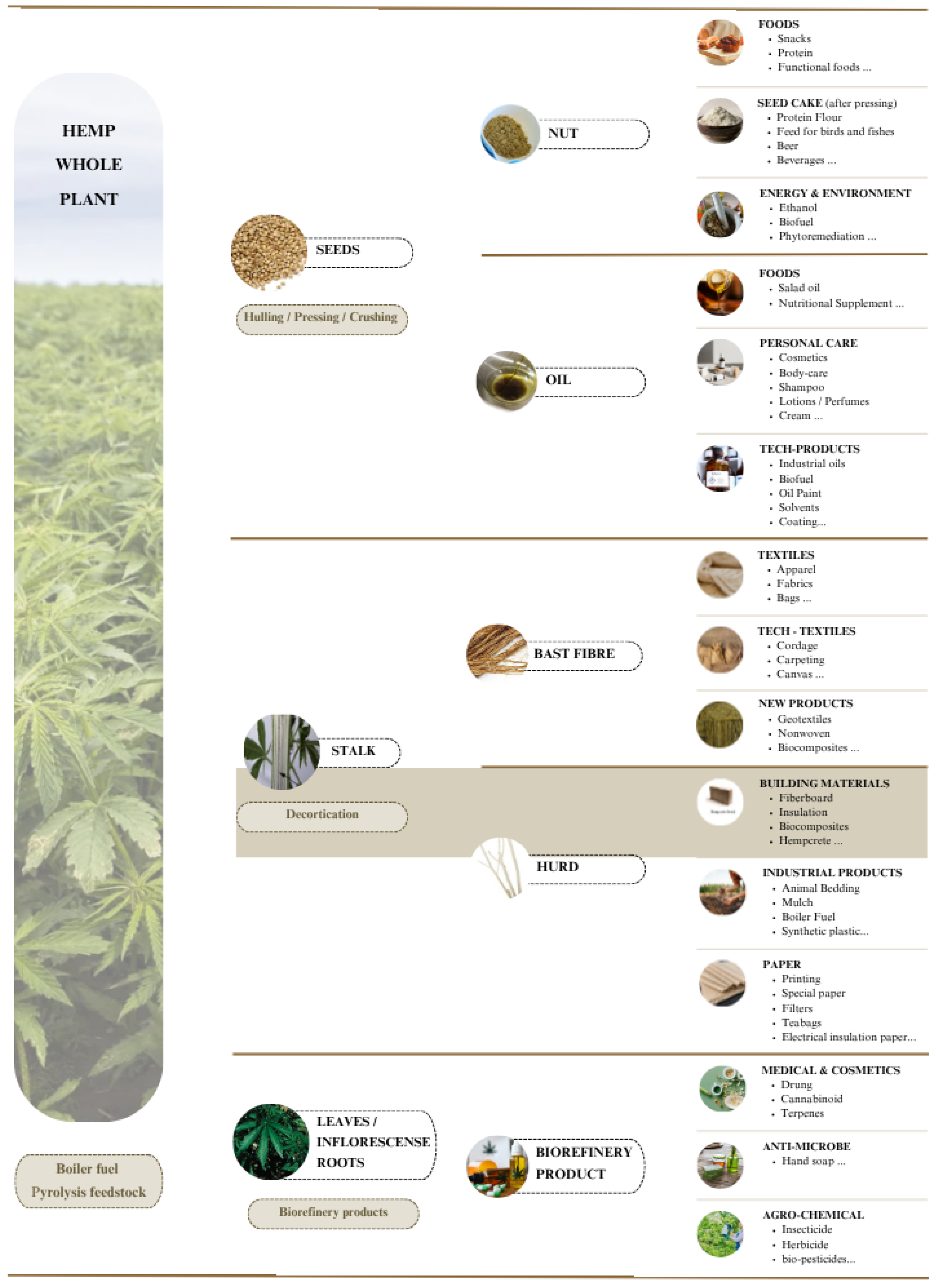 Buildings 15 04238 g001 Buildings 15 04238 g001