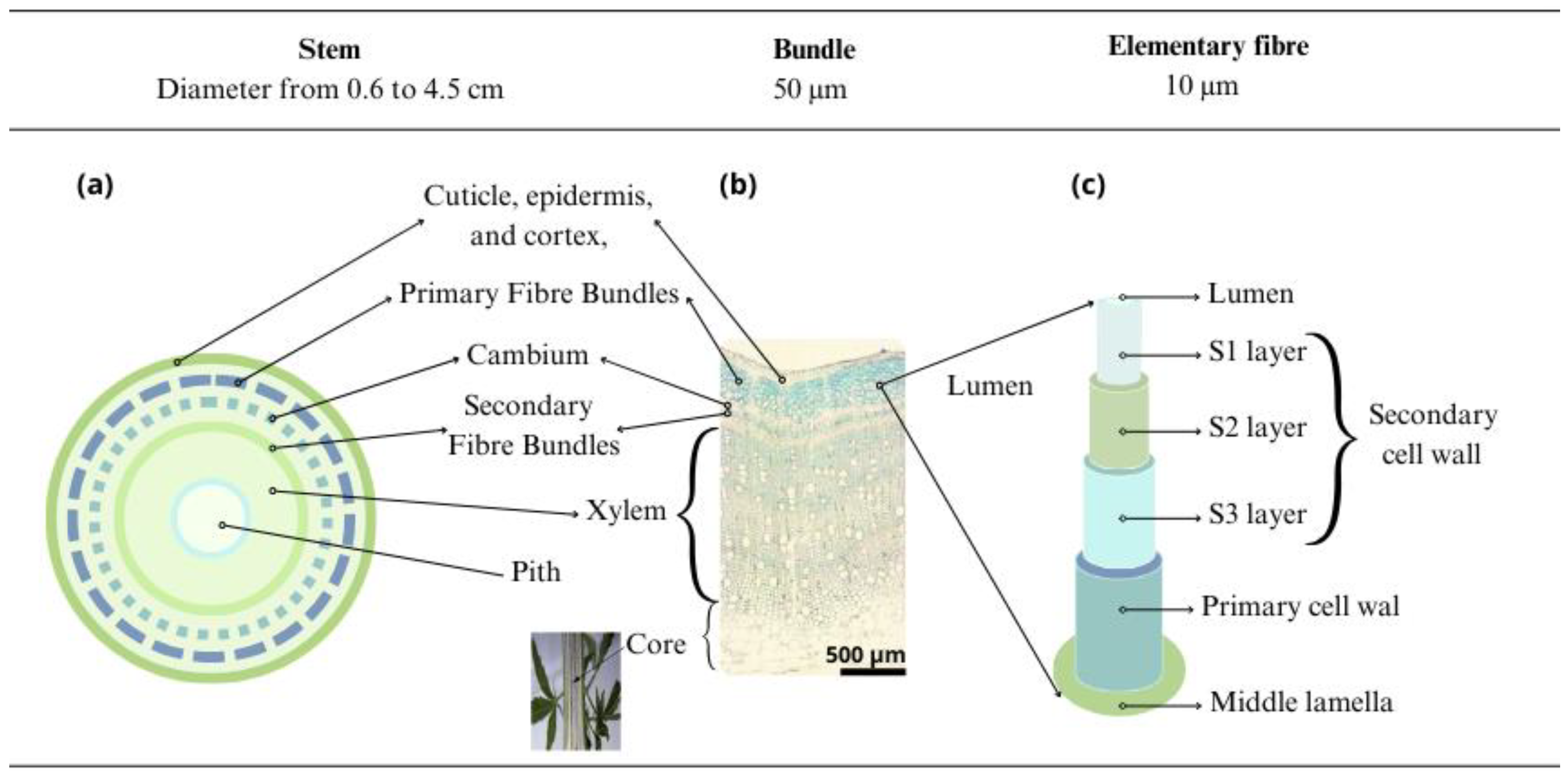 Buildings 15 04238 g003 Buildings 15 04238 g003