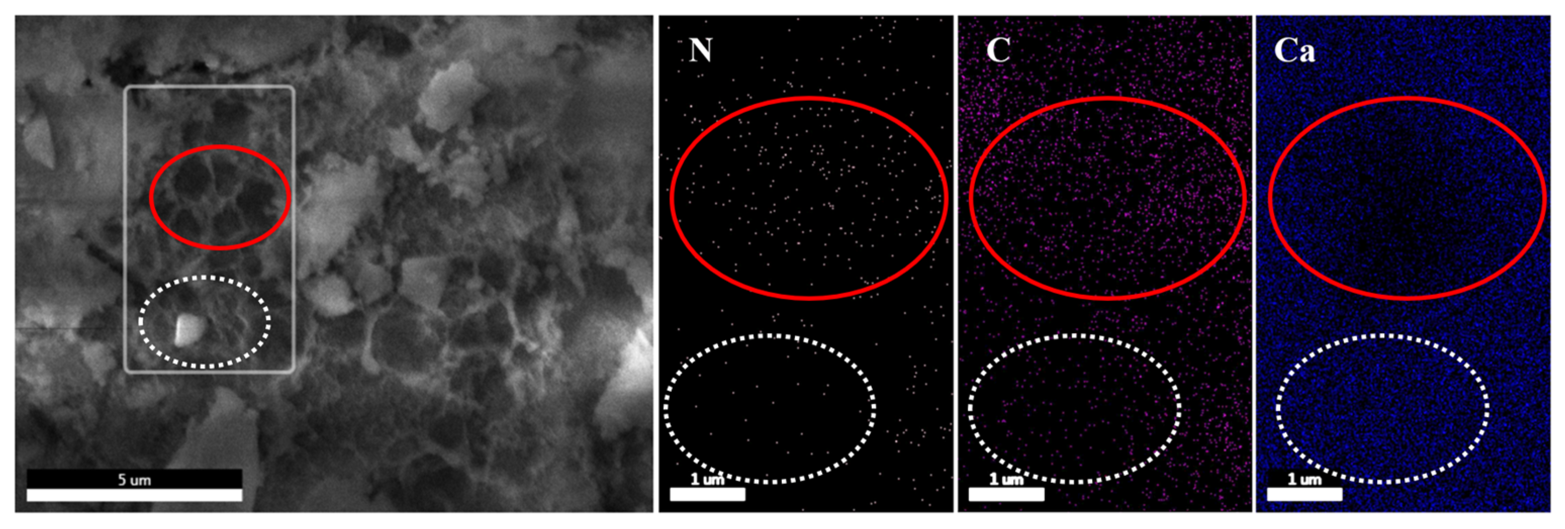 Buildings 15 04246 g006