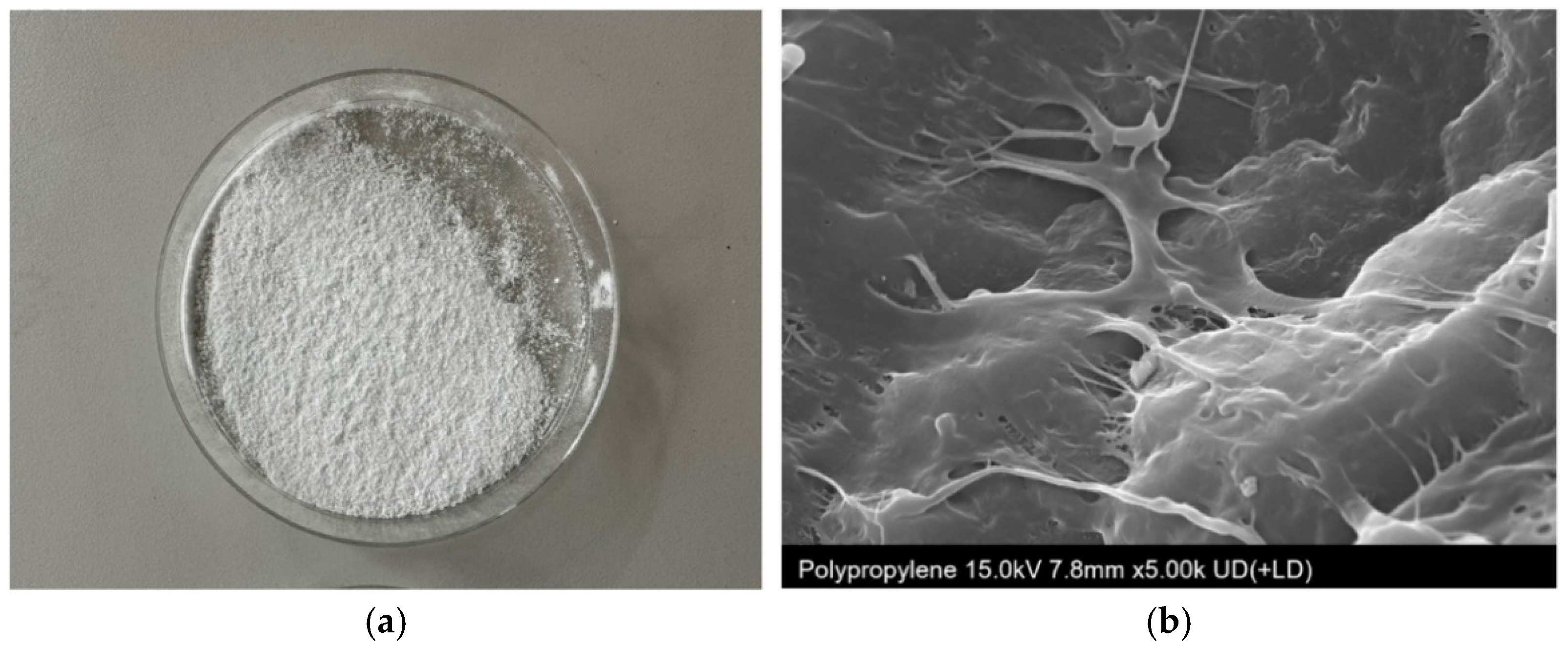 Buildings 15 04257 g001