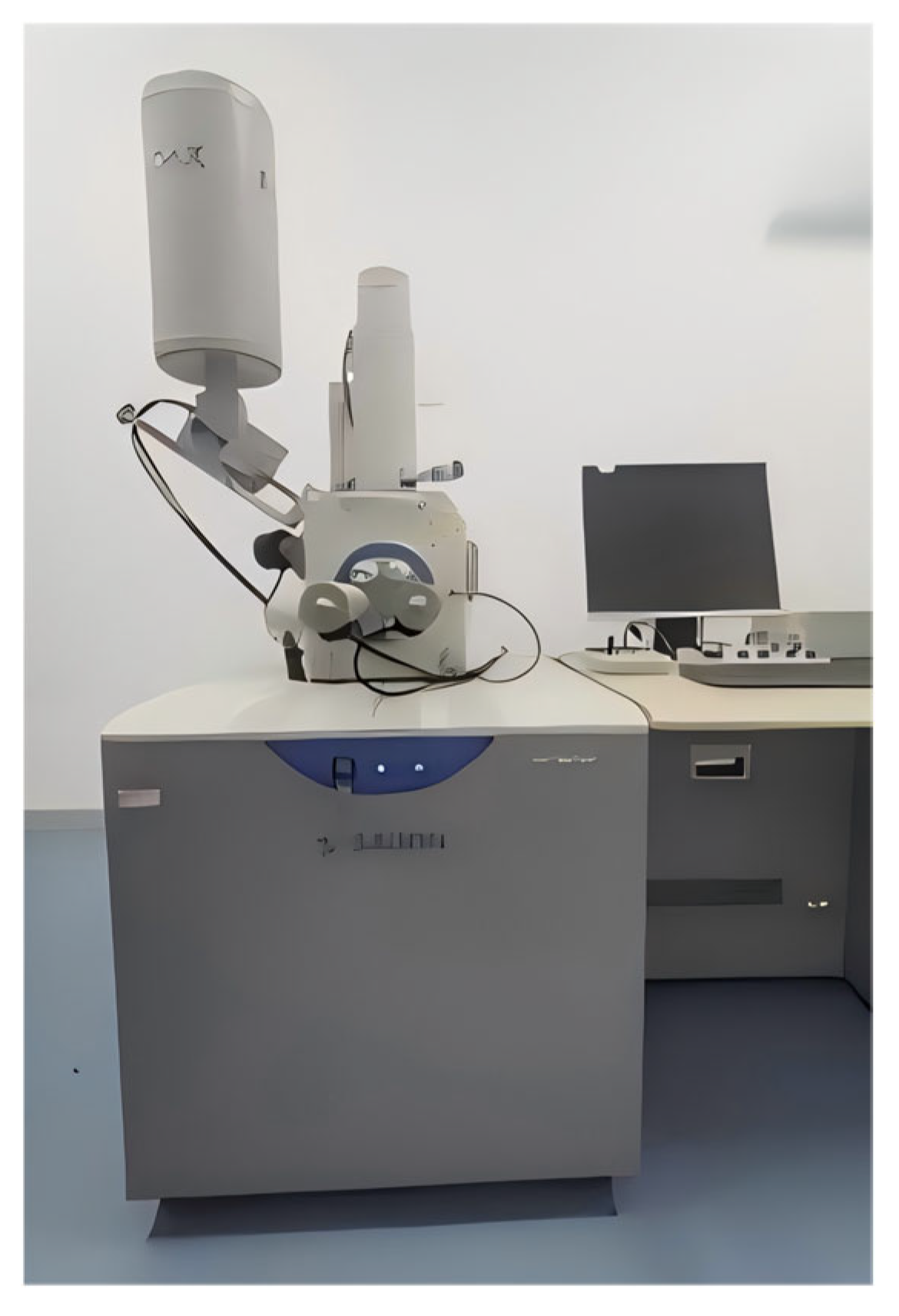 Buildings 15 04268 g012