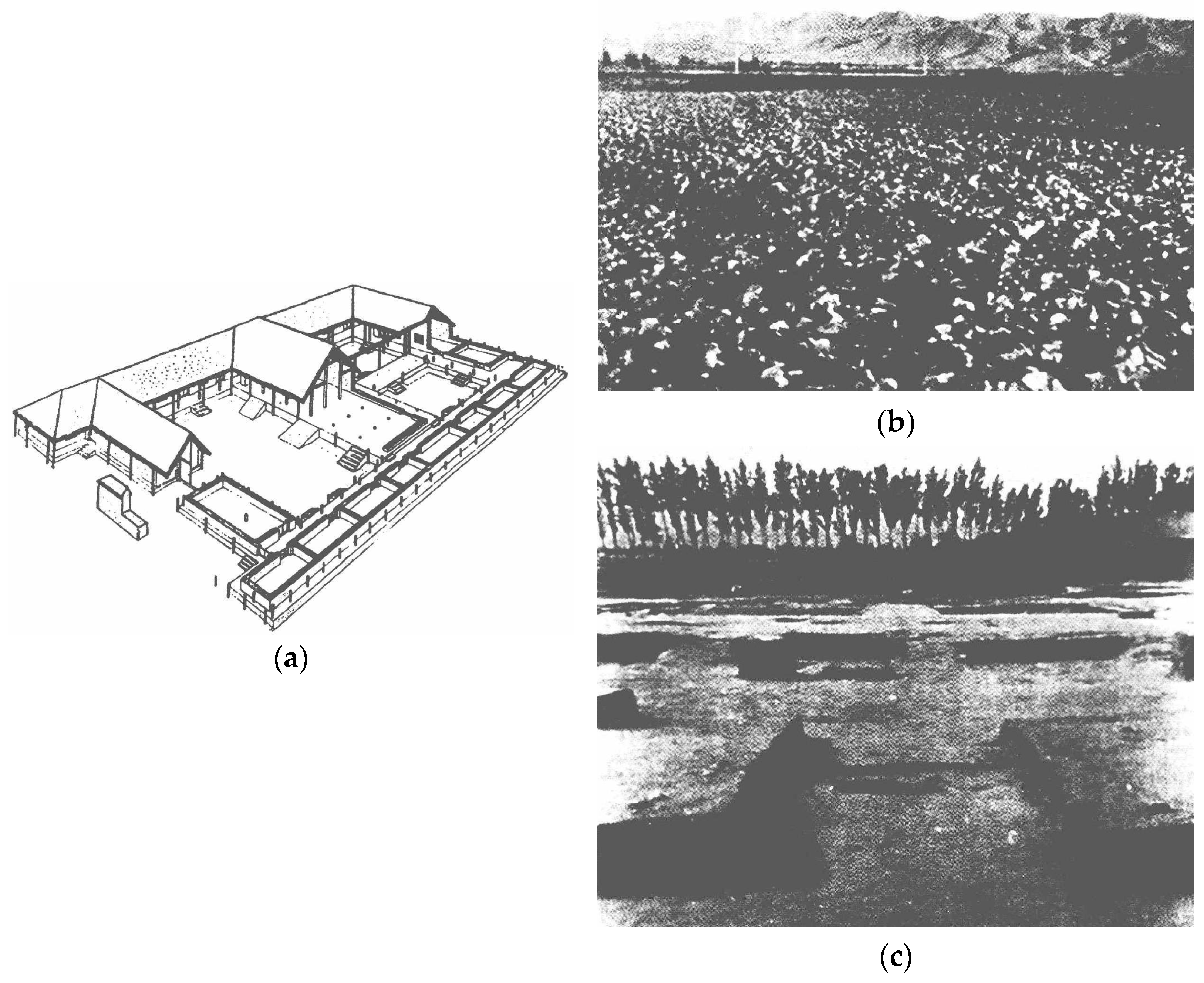 Buildings 15 04321 g007