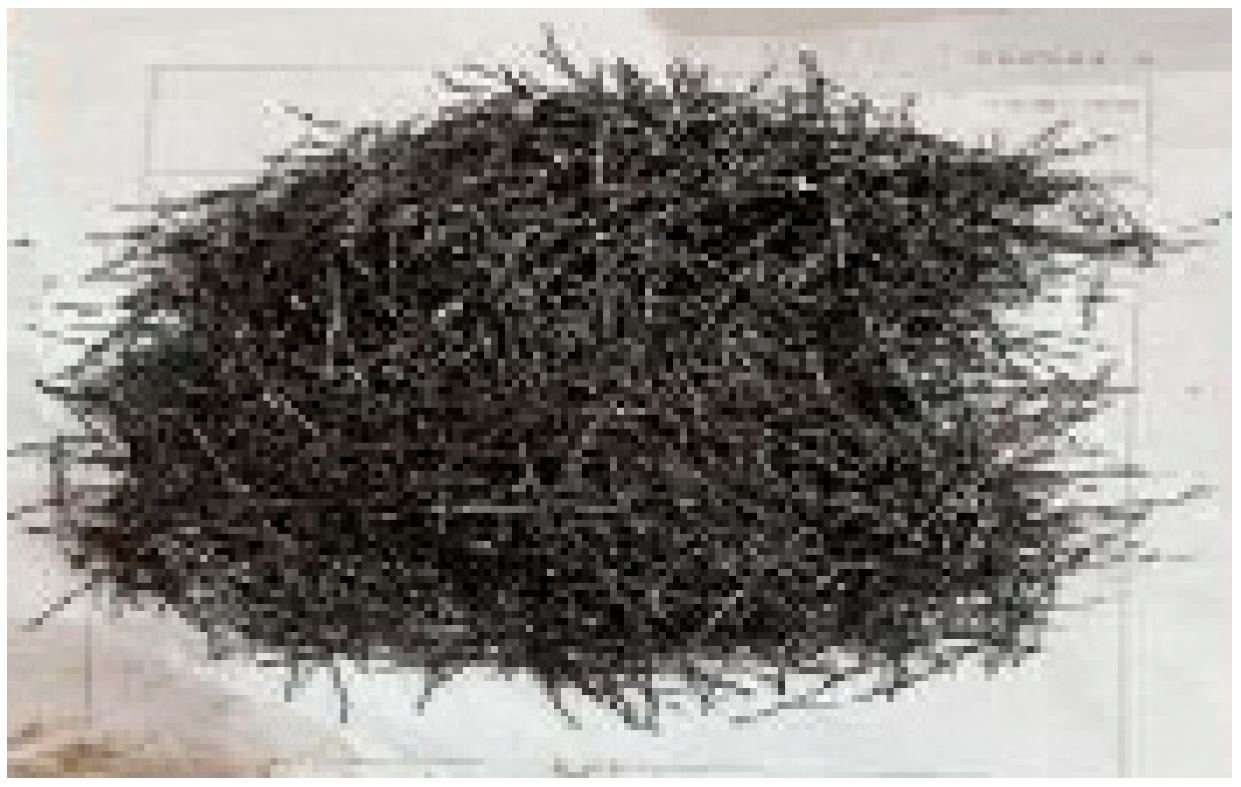 Buildings 15 04370 g001