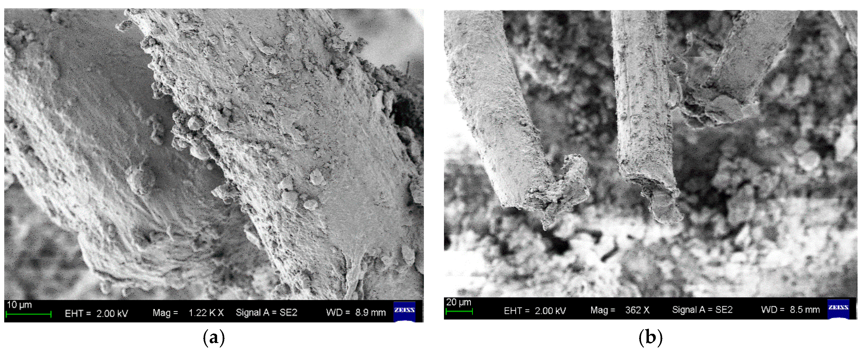 Buildings 15 04381 g015 Buildings 15 04381 g015