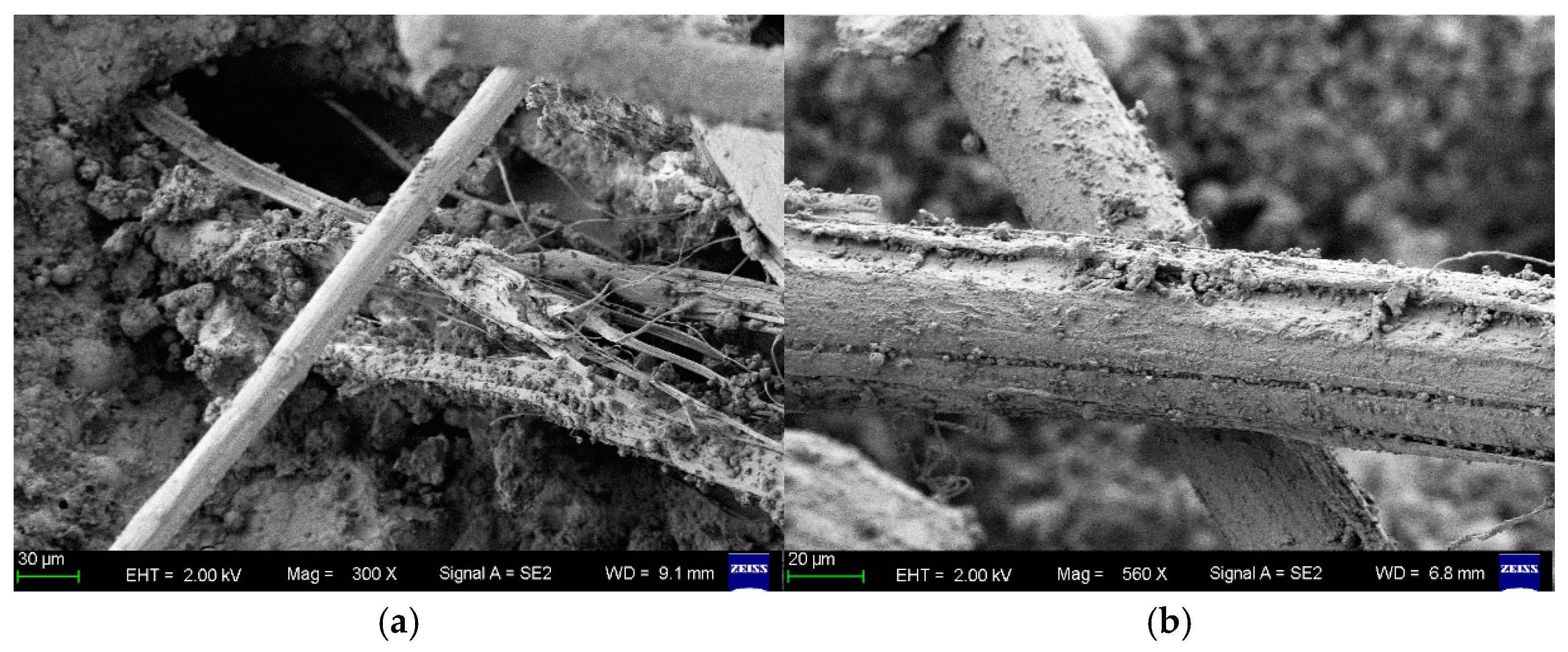 Buildings 15 04381 g016 Buildings 15 04381 g016