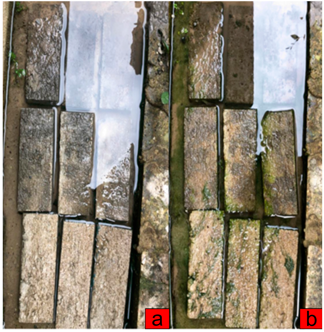 Buildings 15 04494 g004 Buildings 15 04494 g004