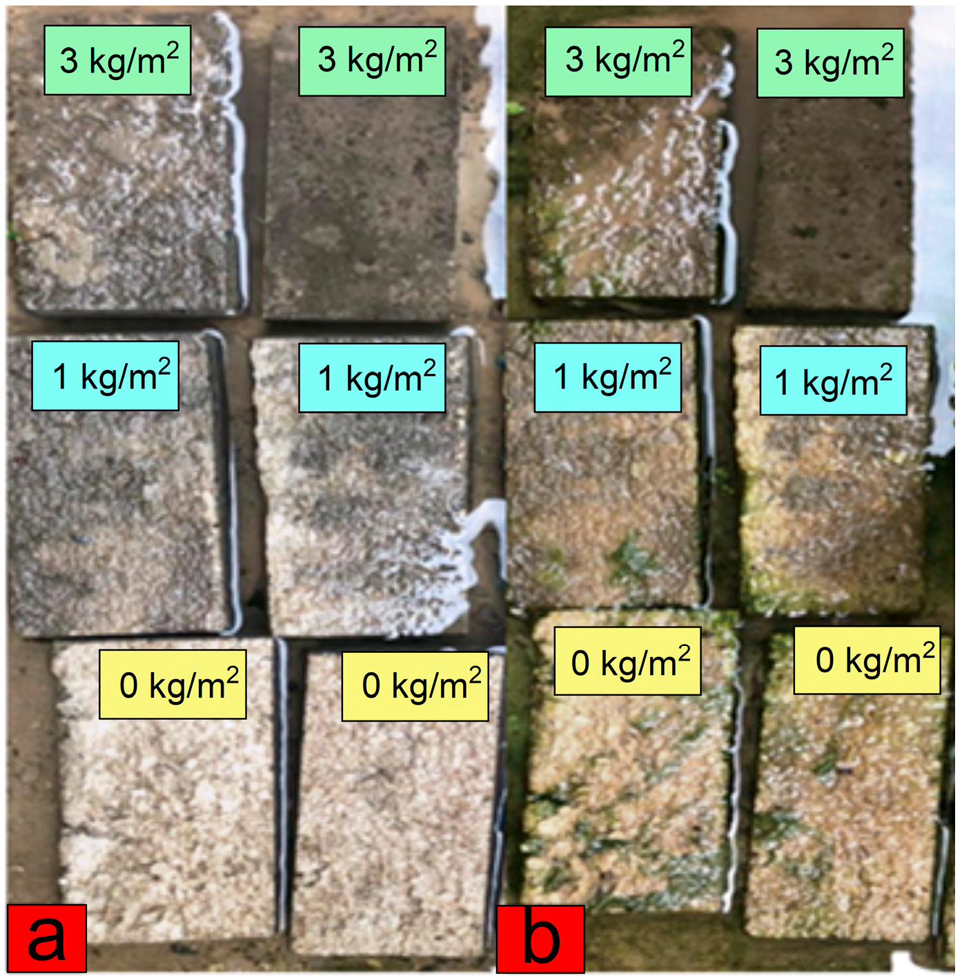 Buildings 15 04494 g007 Buildings 15 04494 g007
