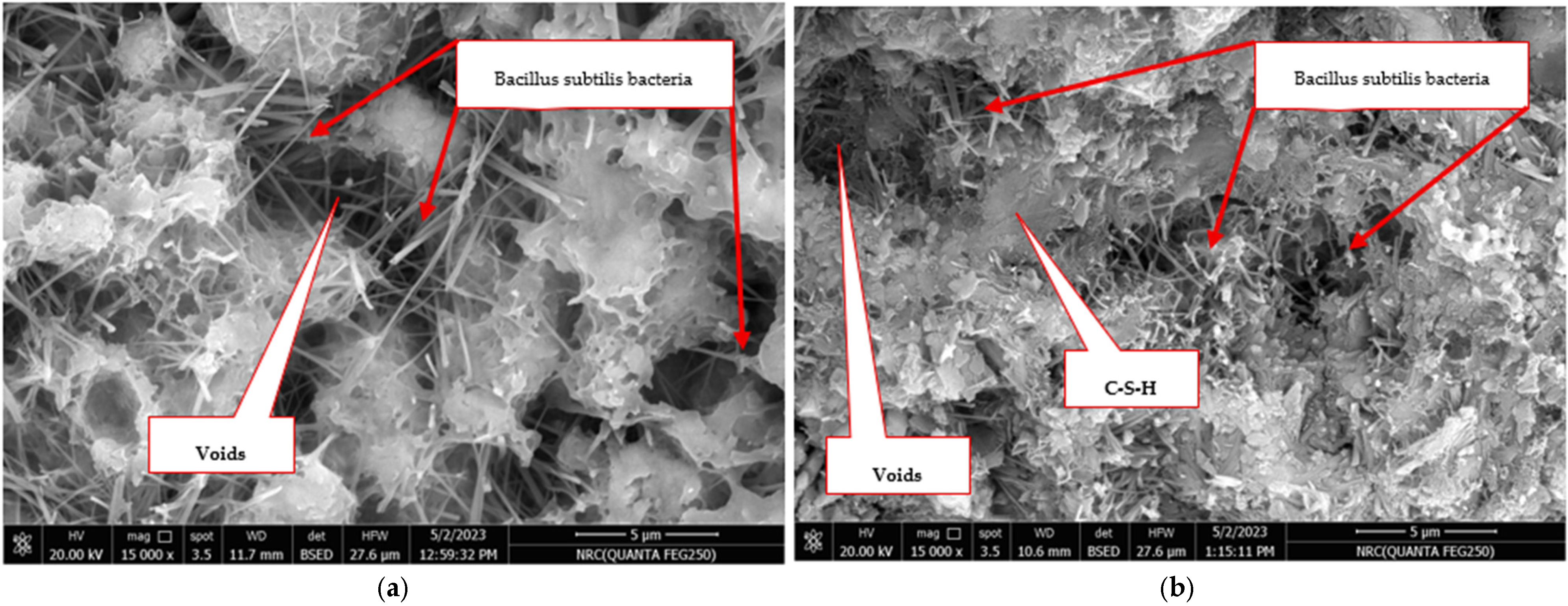 Buildings 15 04495 g009 Buildings 15 04495 g009