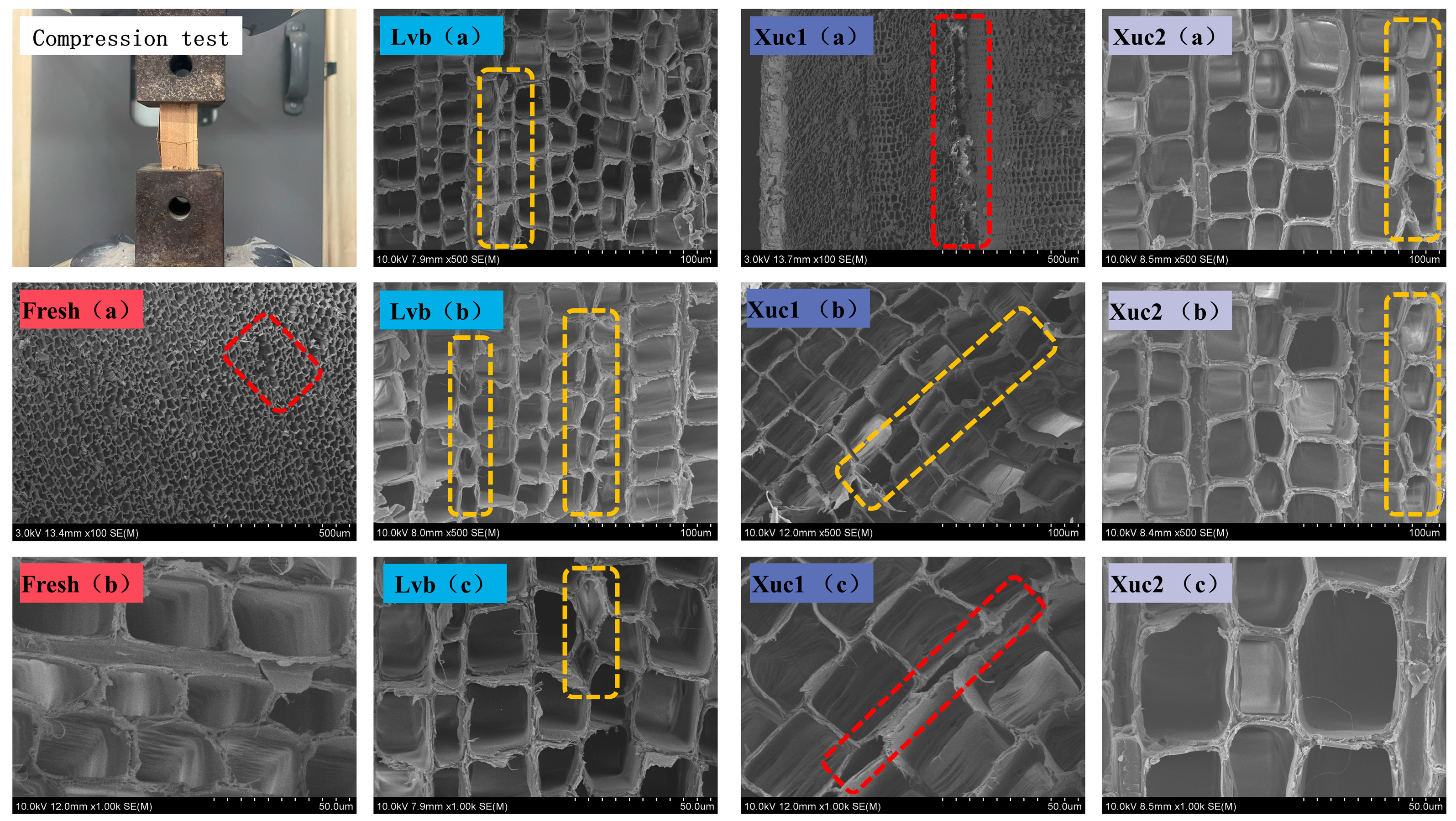 Buildings 15 04500 g005 Buildings 15 04500 g005