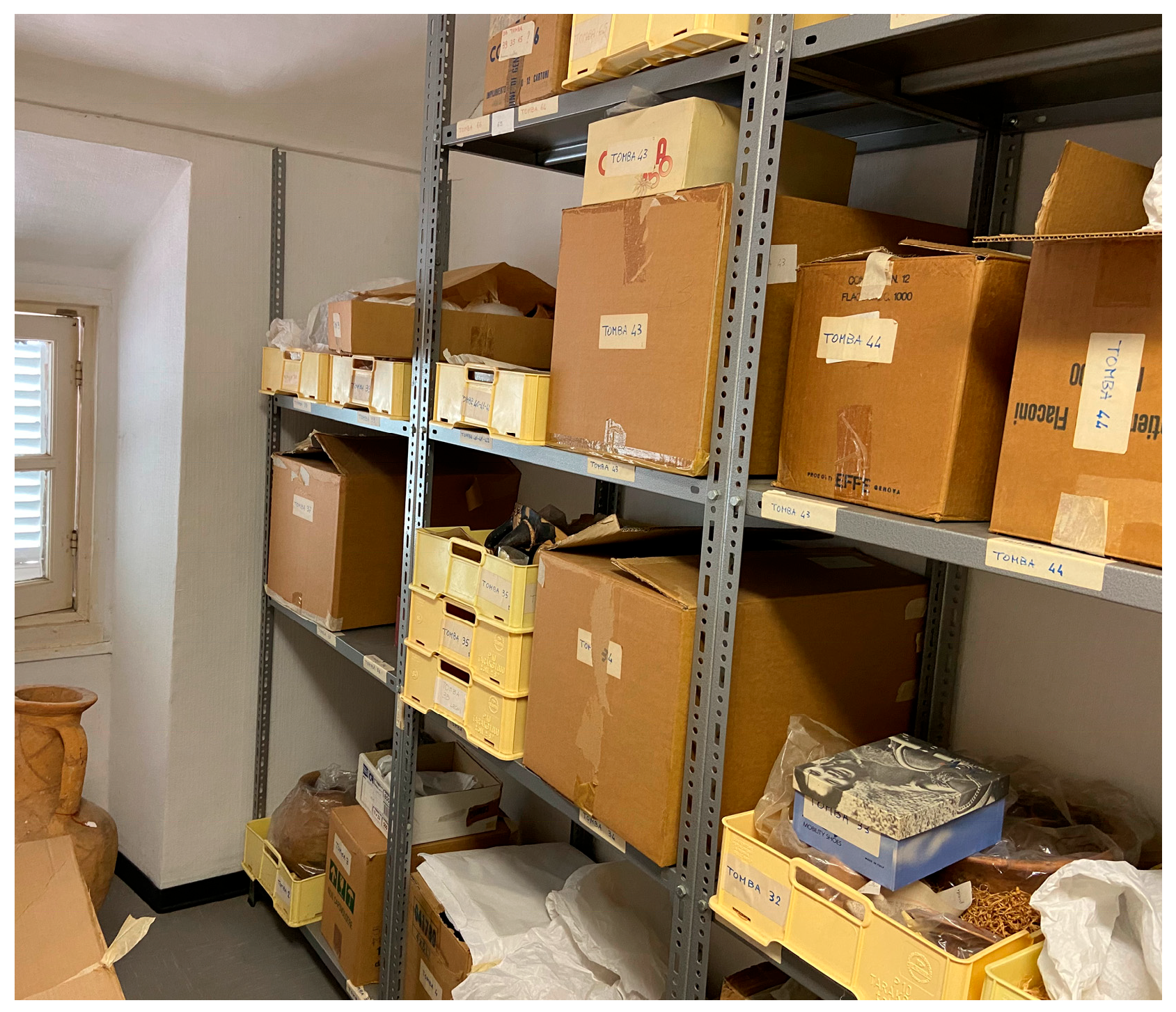 Buildings 16 00614 g002