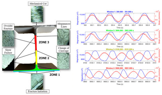 Fatigue Life Evolution of and Surface Magnetic Flux Correlation