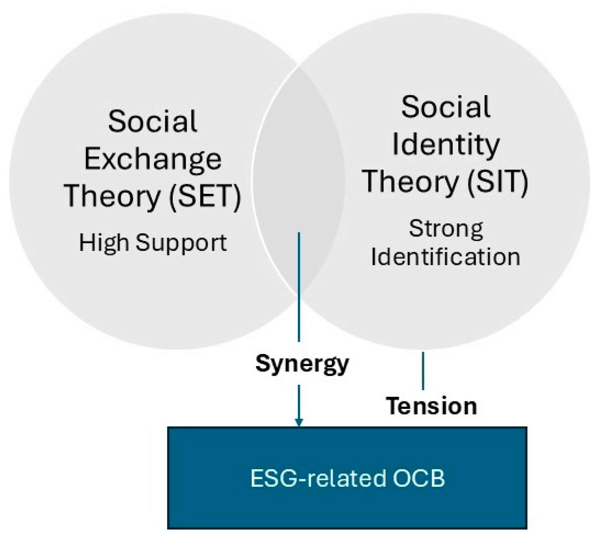 Businesses 05 00038 g001