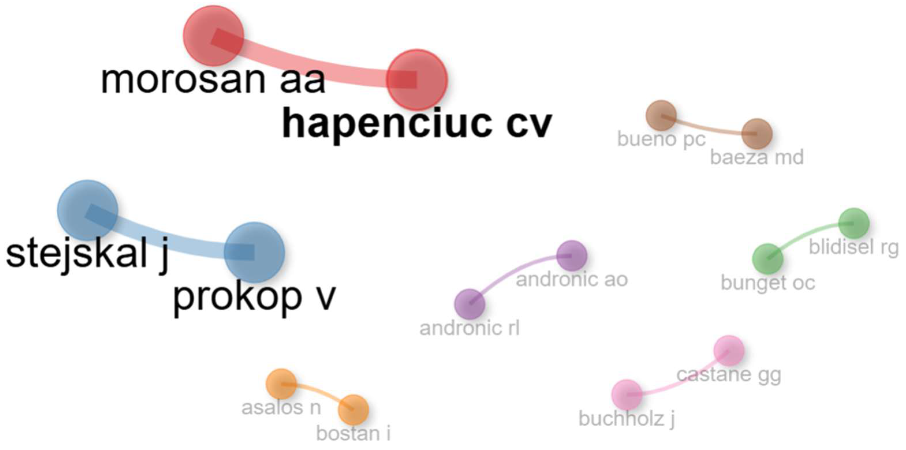 Businesses 05 00045 g012