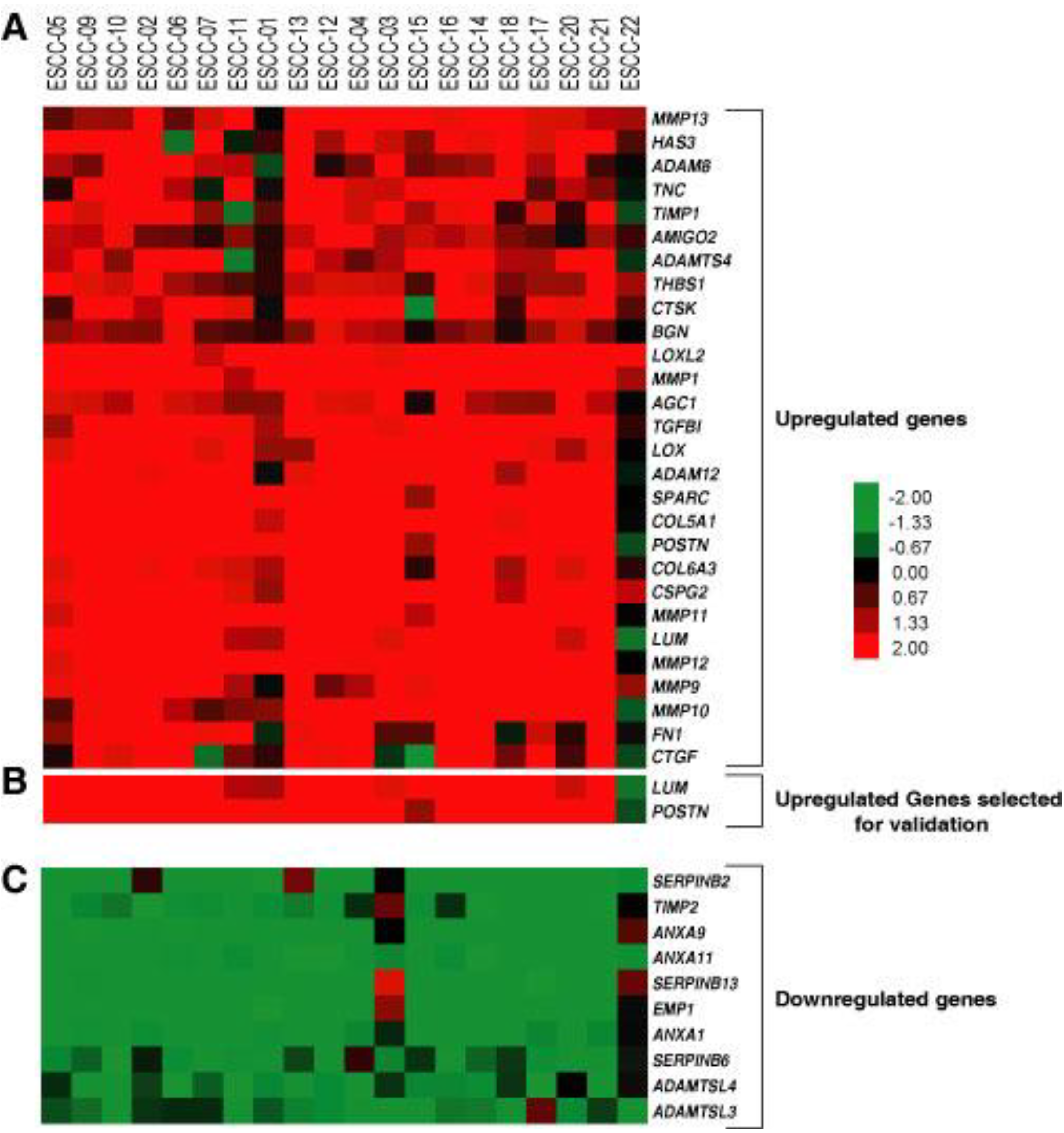 Cancers 02 00133 g001