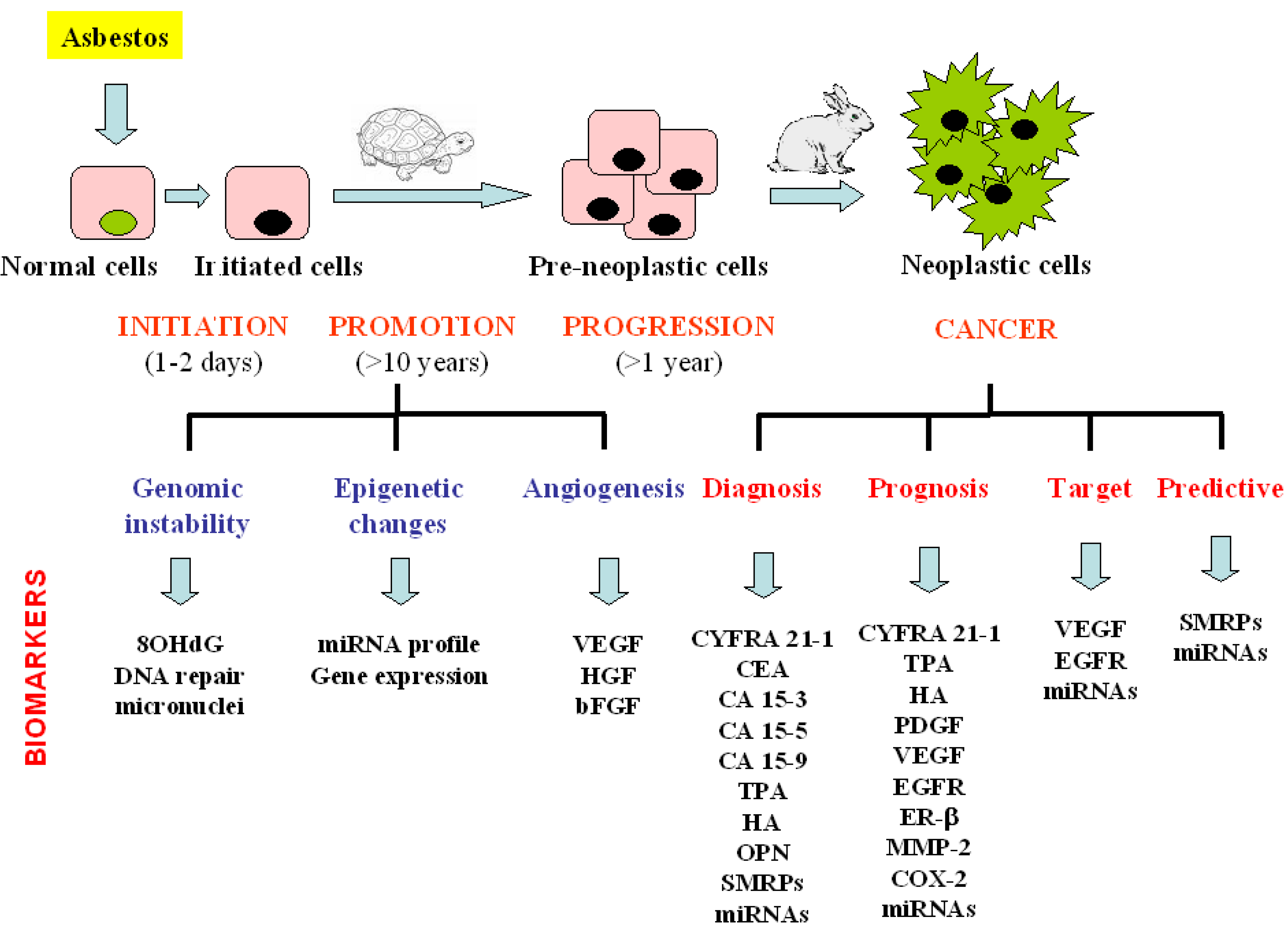 radiation induced mesothelioma