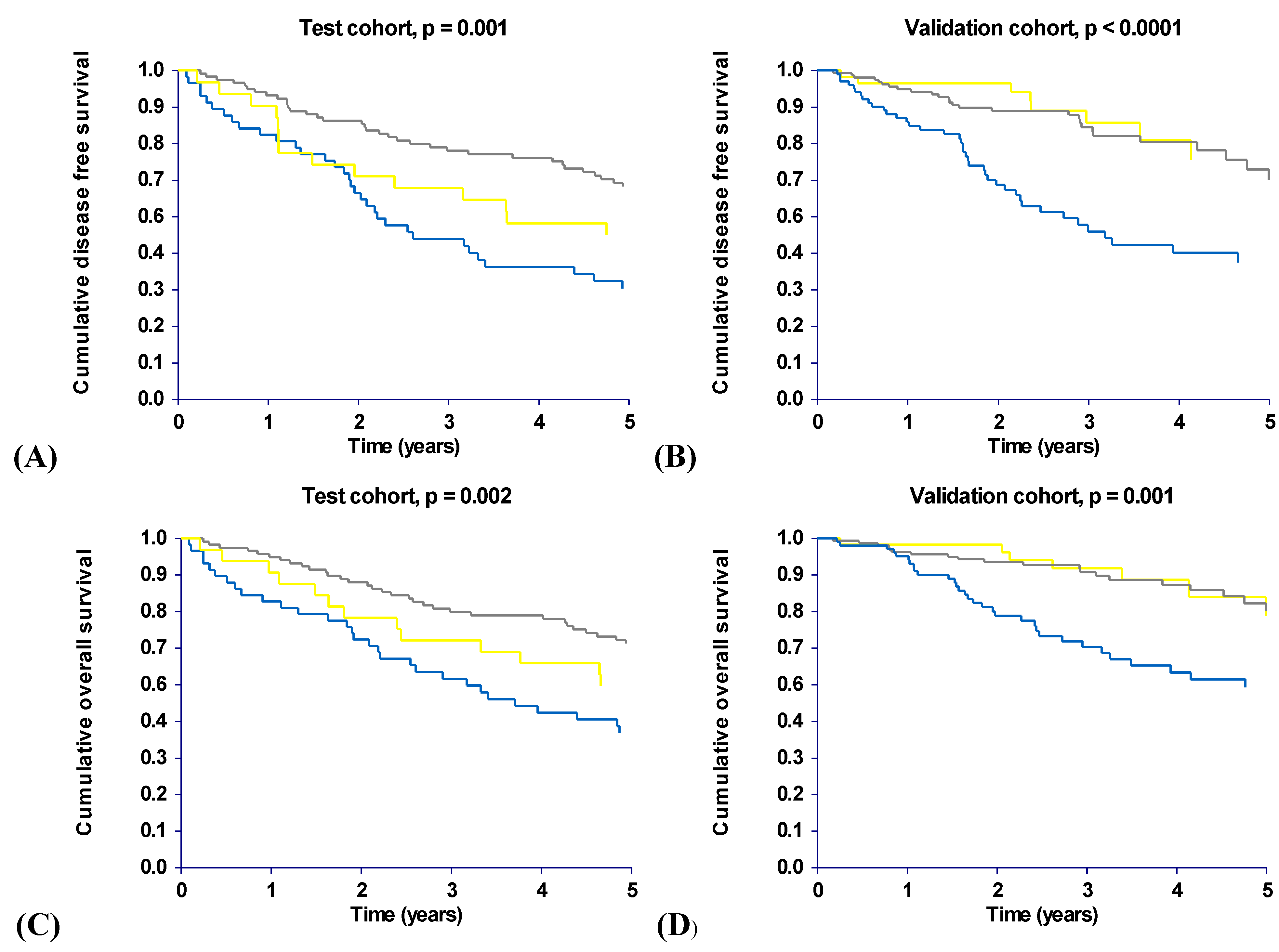 Cancers 02 01405 g002