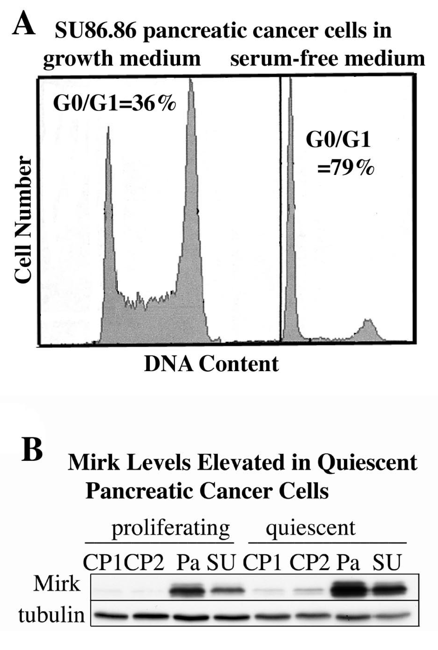Cancers 02 01492 g004