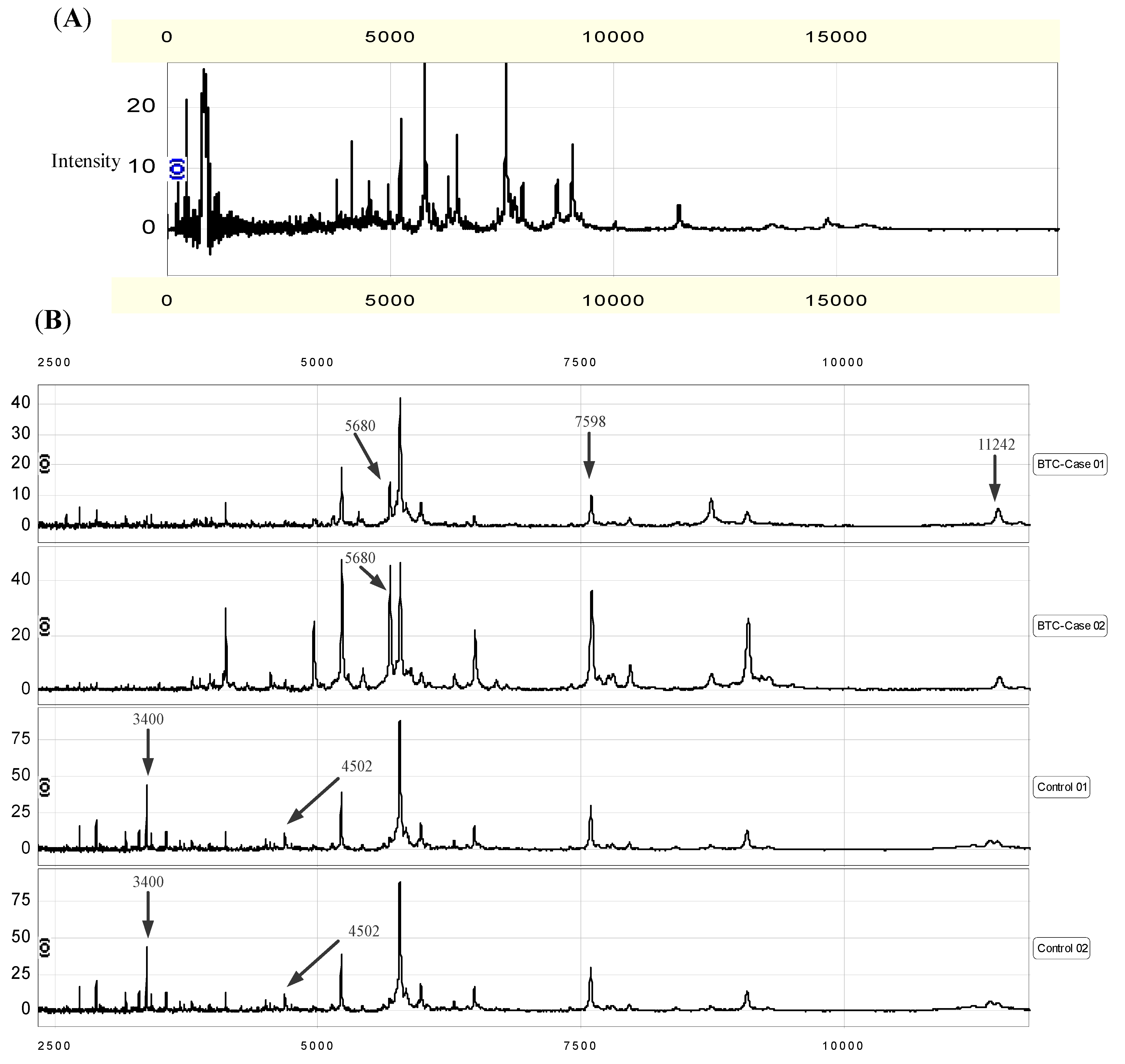 Cancers 02 01602 g001 1024
