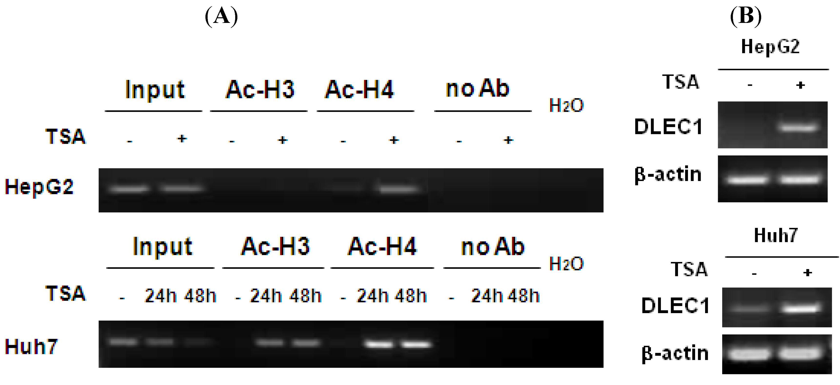 Cancers 02 01689 g002 1024