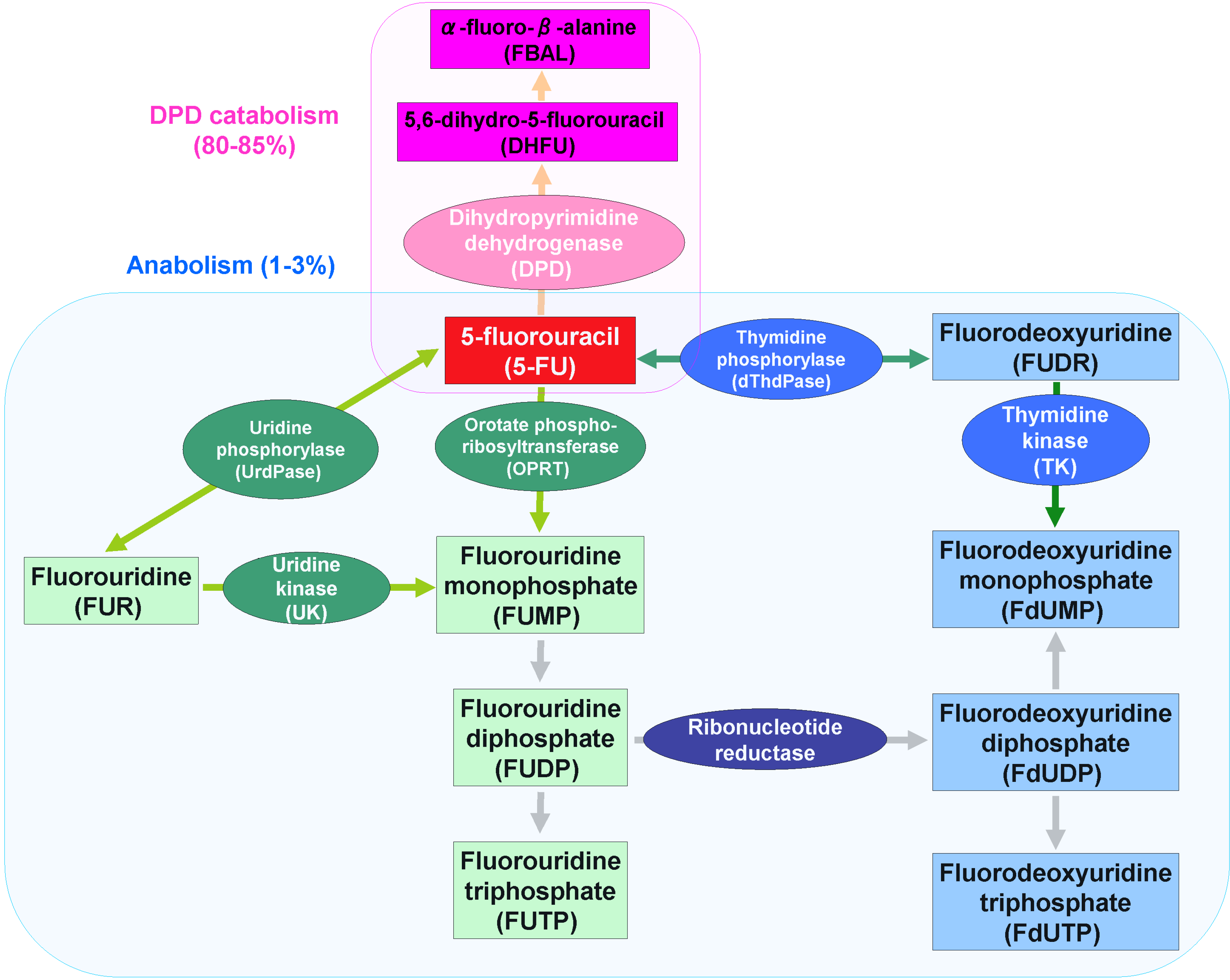 The drug Ftoruracil: instructions for use, description, composition, analogues and reviews The drug Ftoruracil: instructions for use, description, composition, analogues and reviews