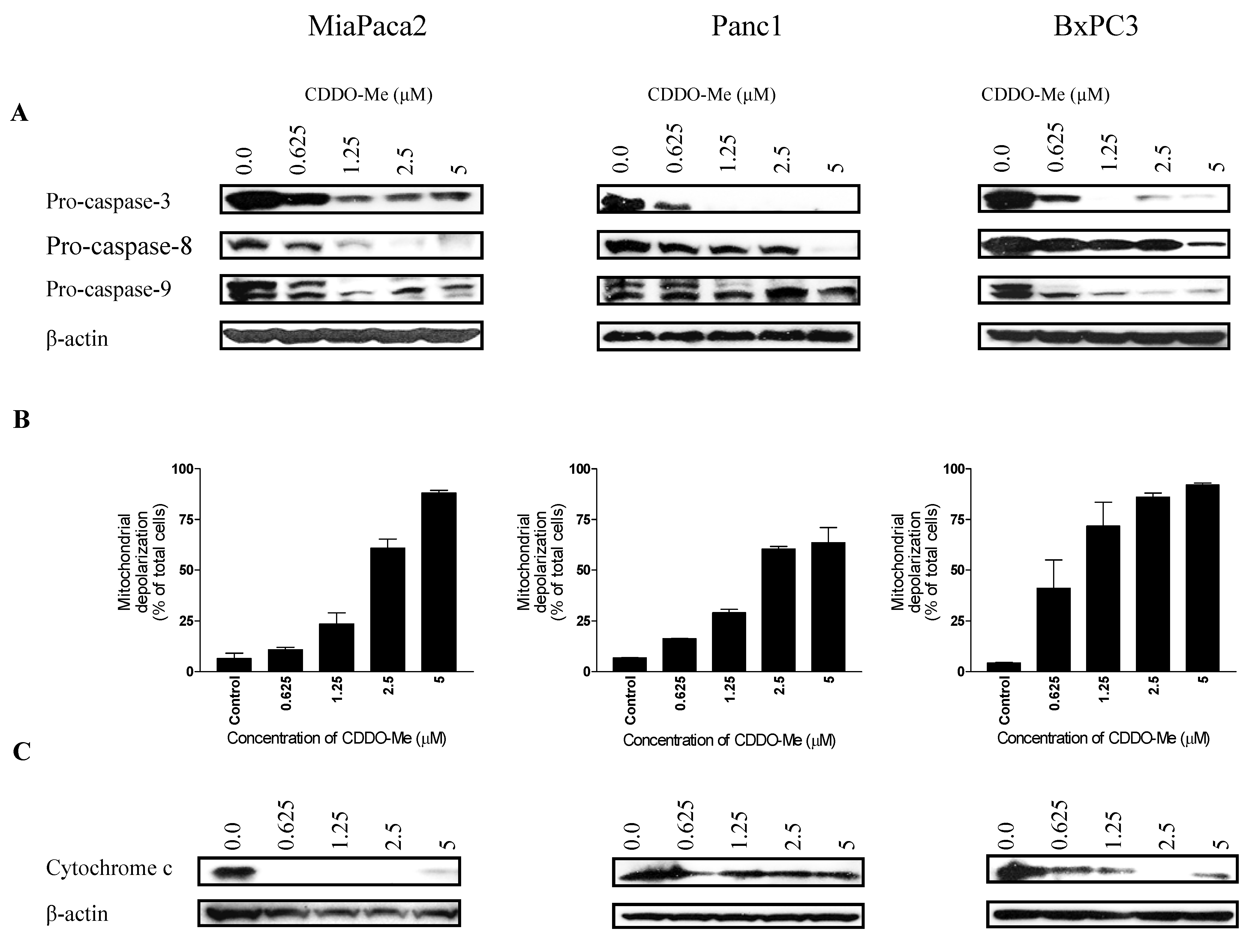 Cancers 02 01779 g003 1024