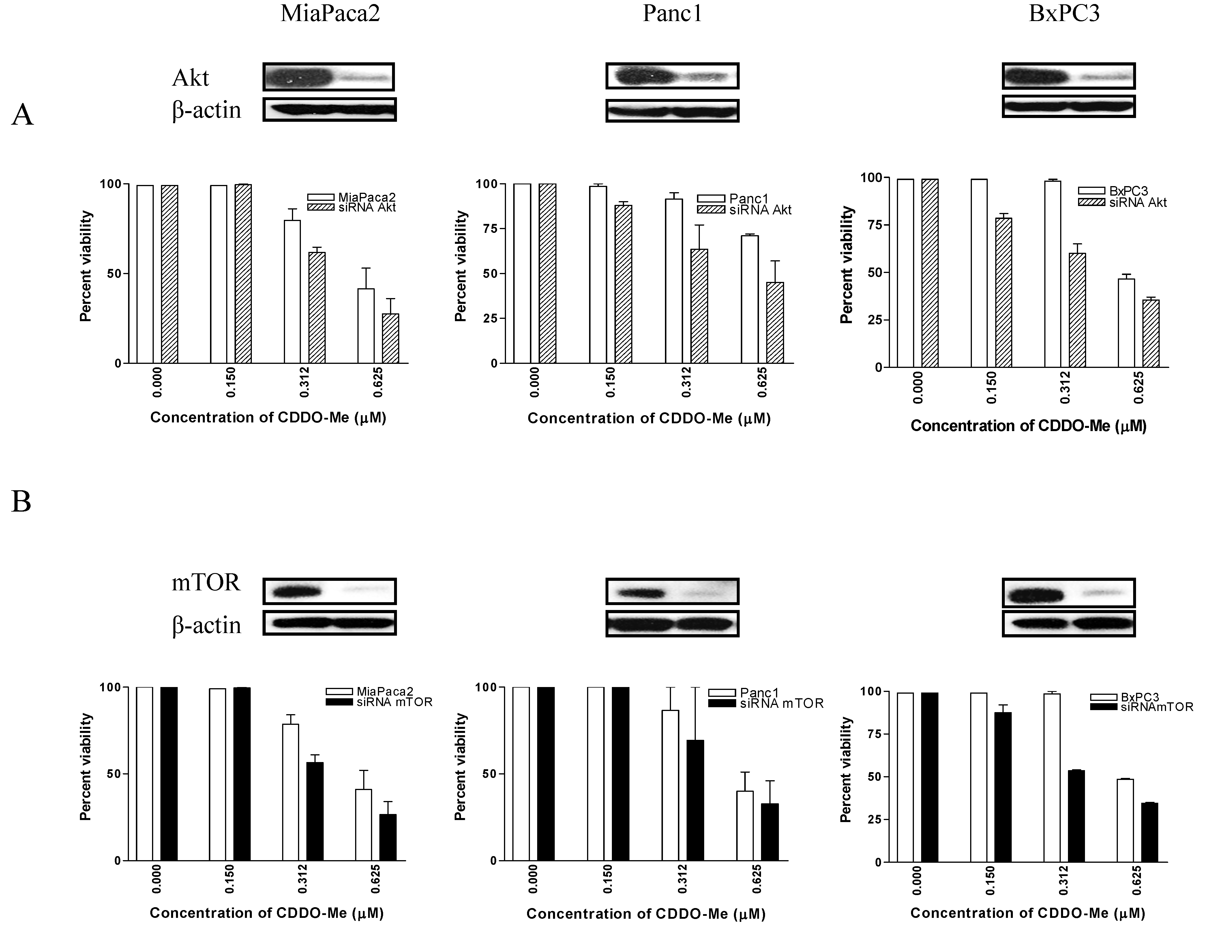 Cancers 02 01779 g005 1024