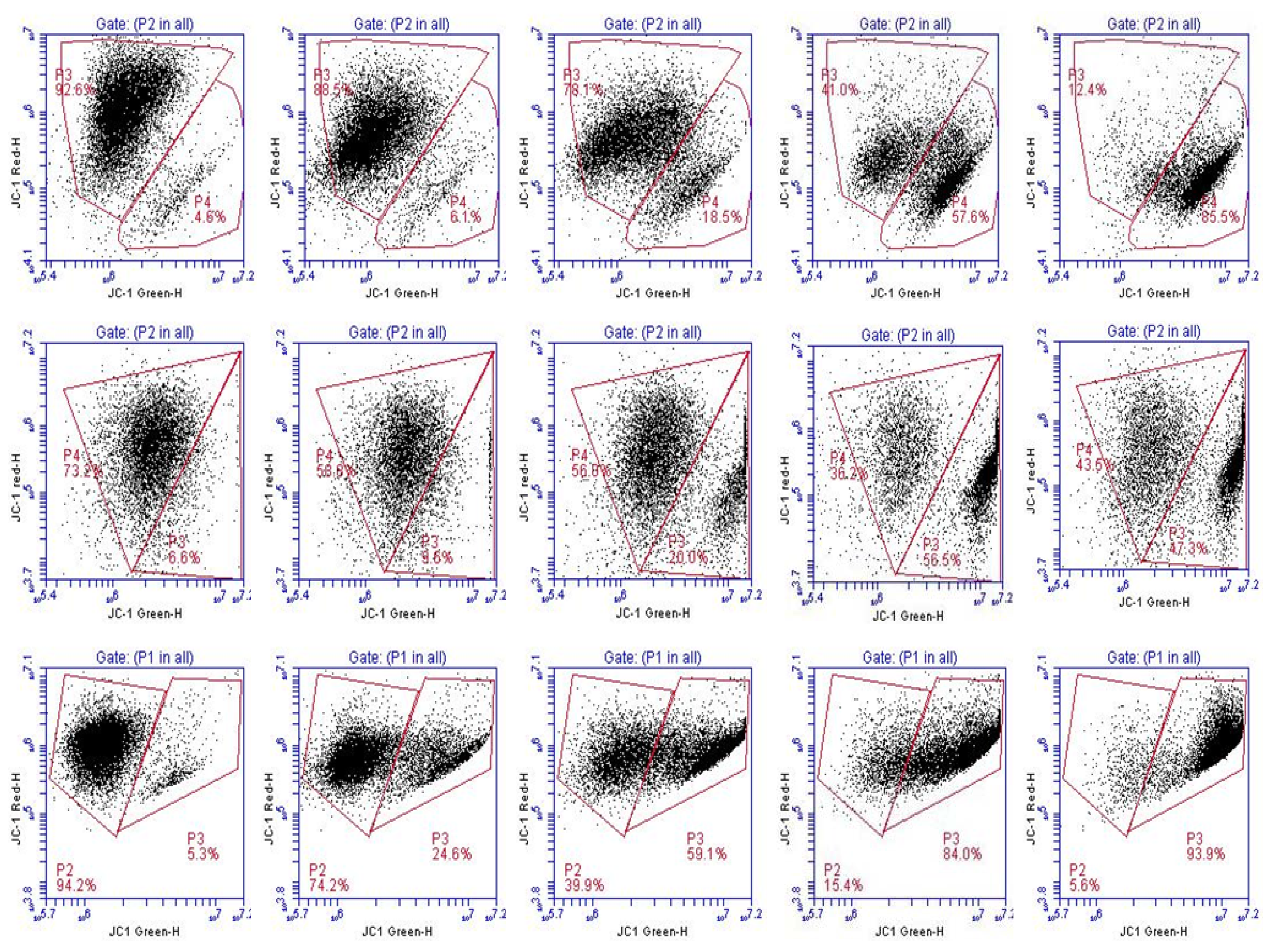 Cancers 02 01779 g007 1024