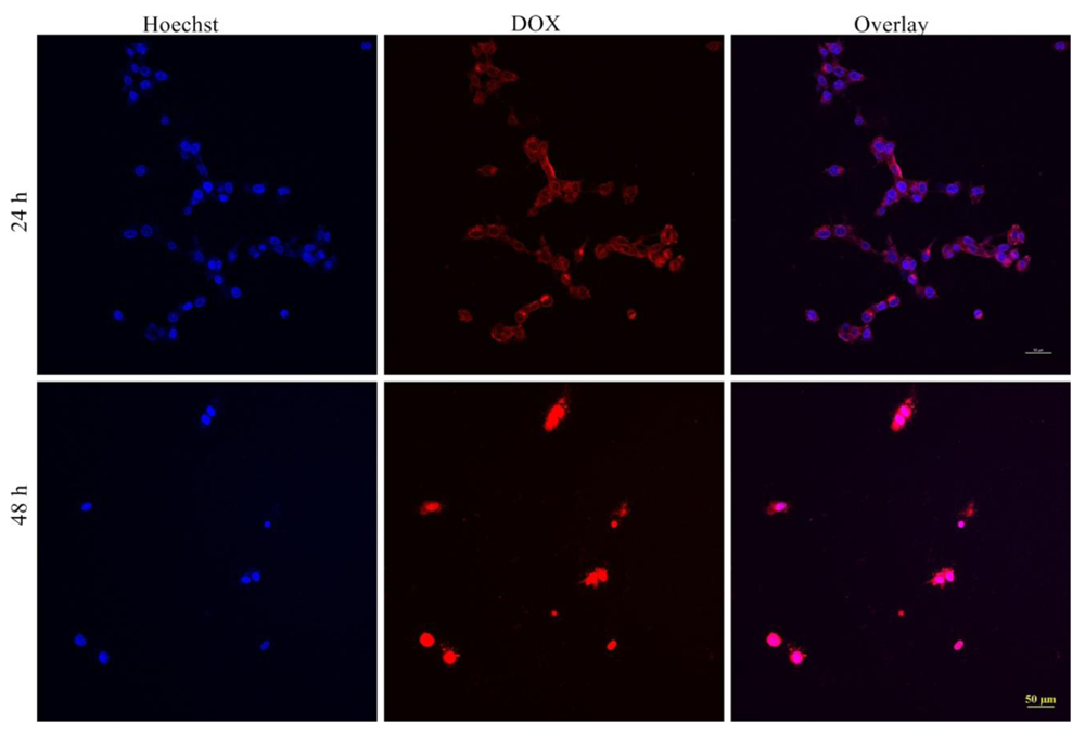 Cancers 03 00061f6 1024