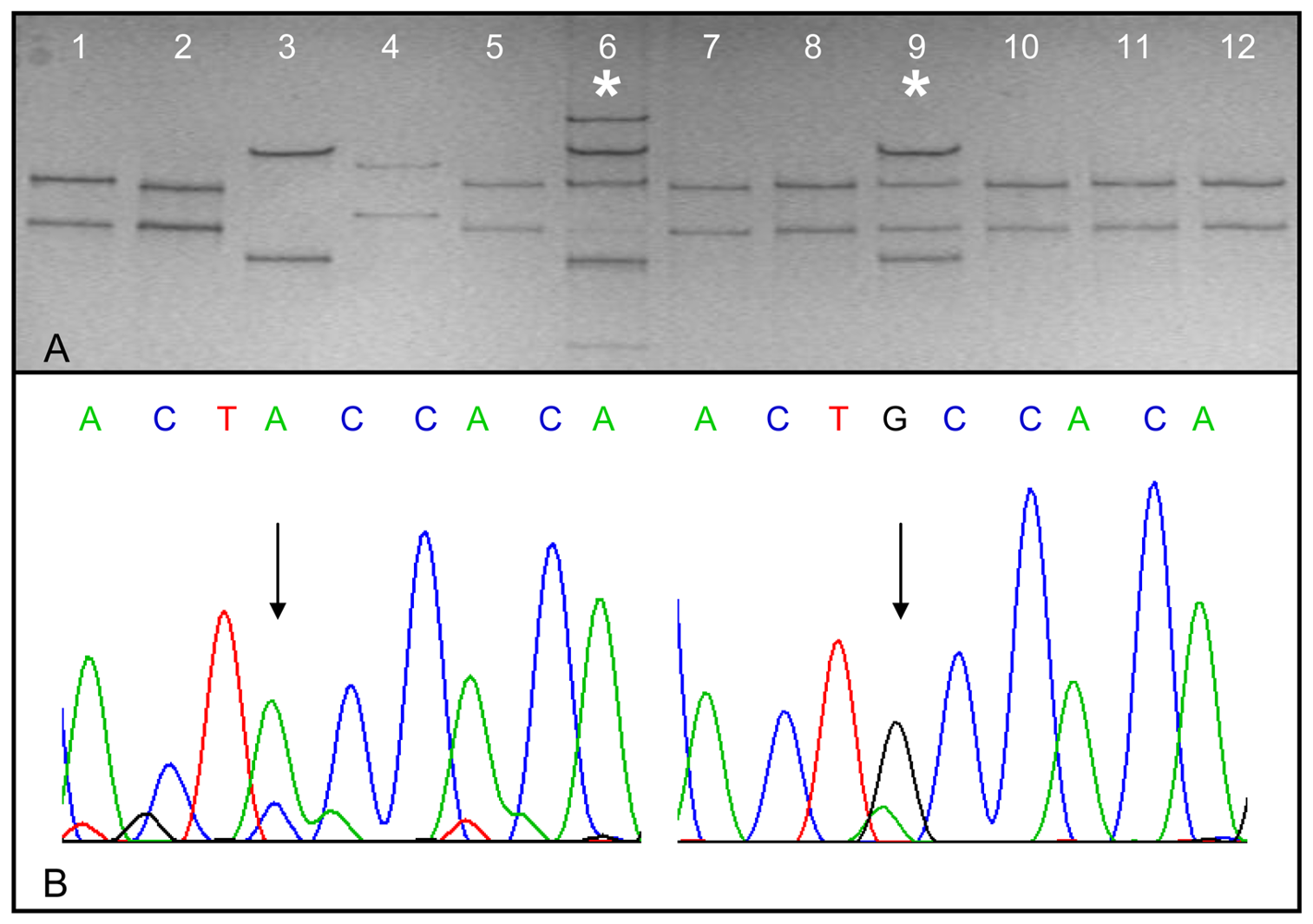 Cancers 03 00091f1 1024