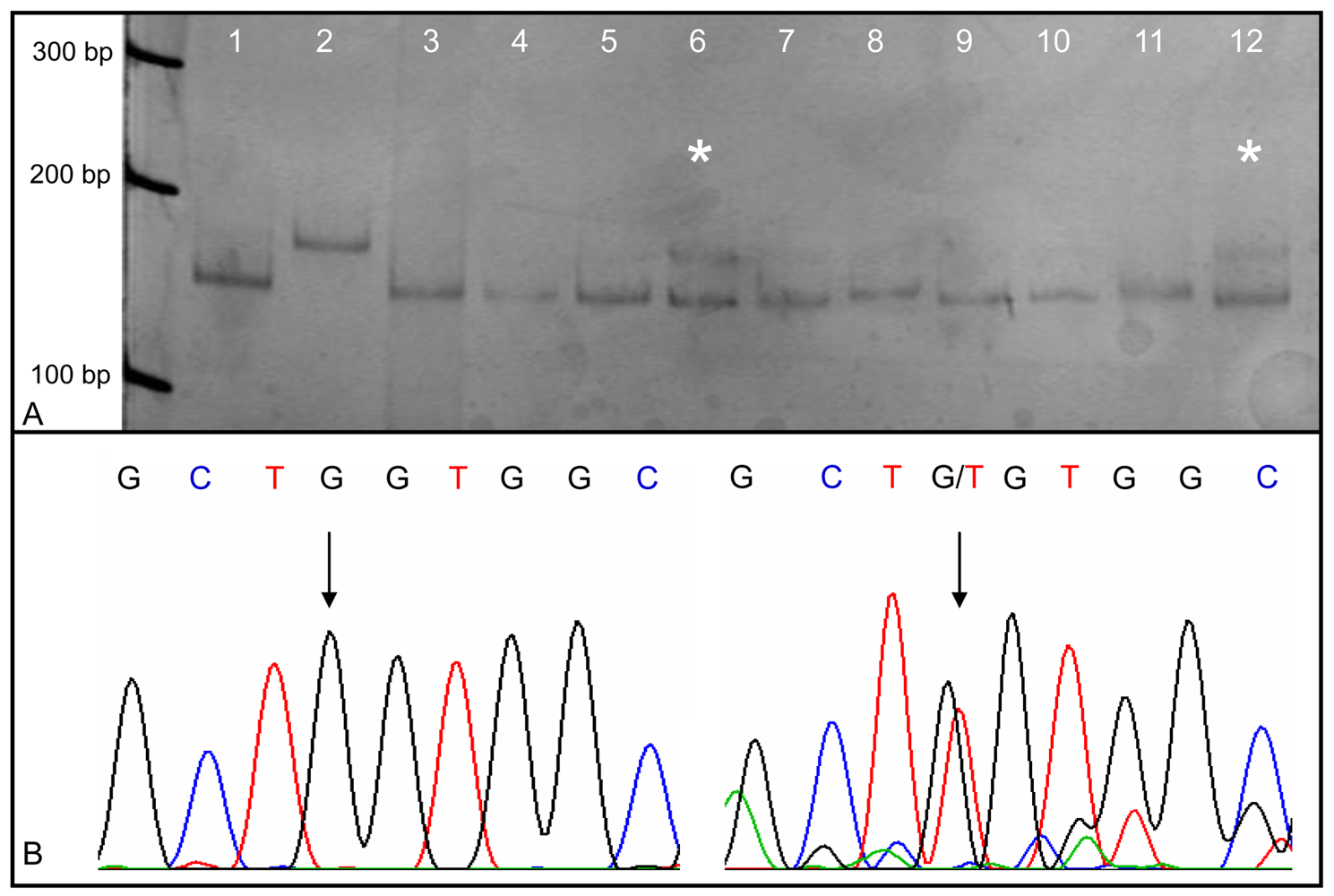 Cancers 03 00091f2 1024
