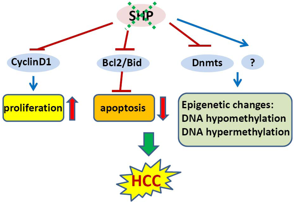 Cancers 03 00198f2 1024