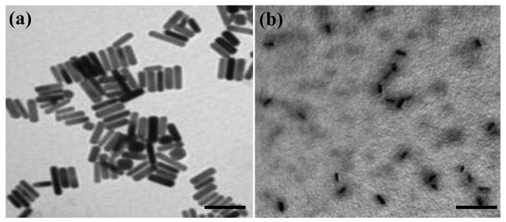 Cancers 03 00227f3 1024