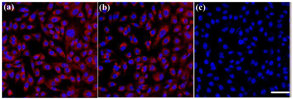 Cancers 03 00227f6 1024
