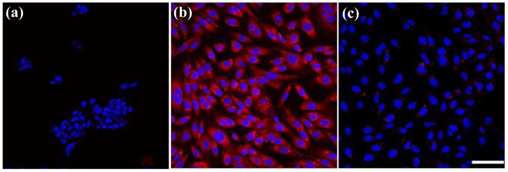 Cancers 03 00227f7 1024