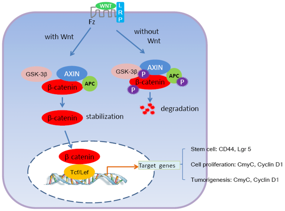 Cancers 03 00285f2 1024