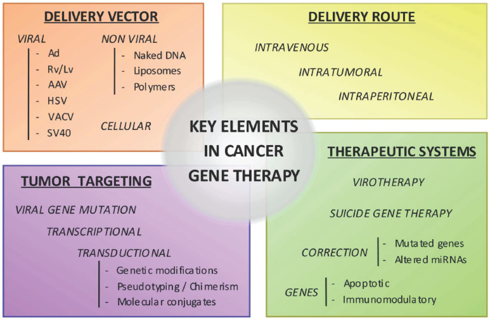 Pancreatic Cancer Gene Therapy: From Molecular Targets to