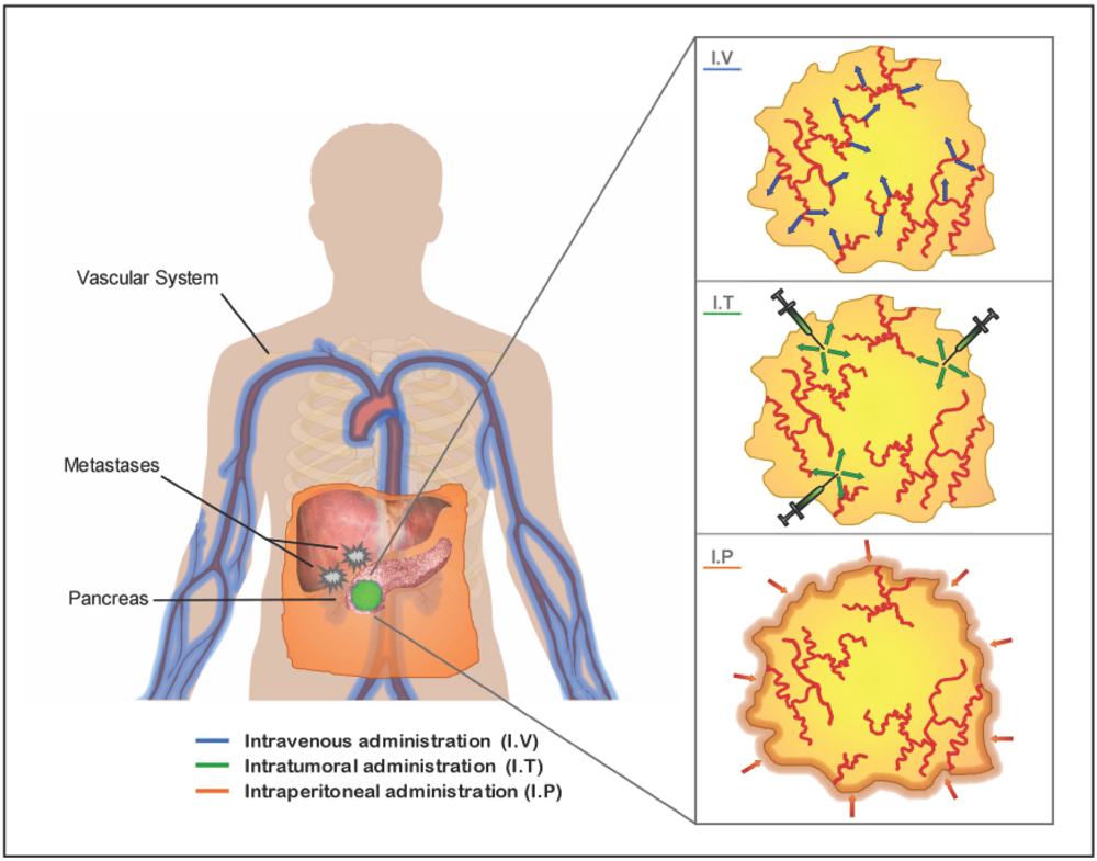 Cancers 03 00368f2 1024