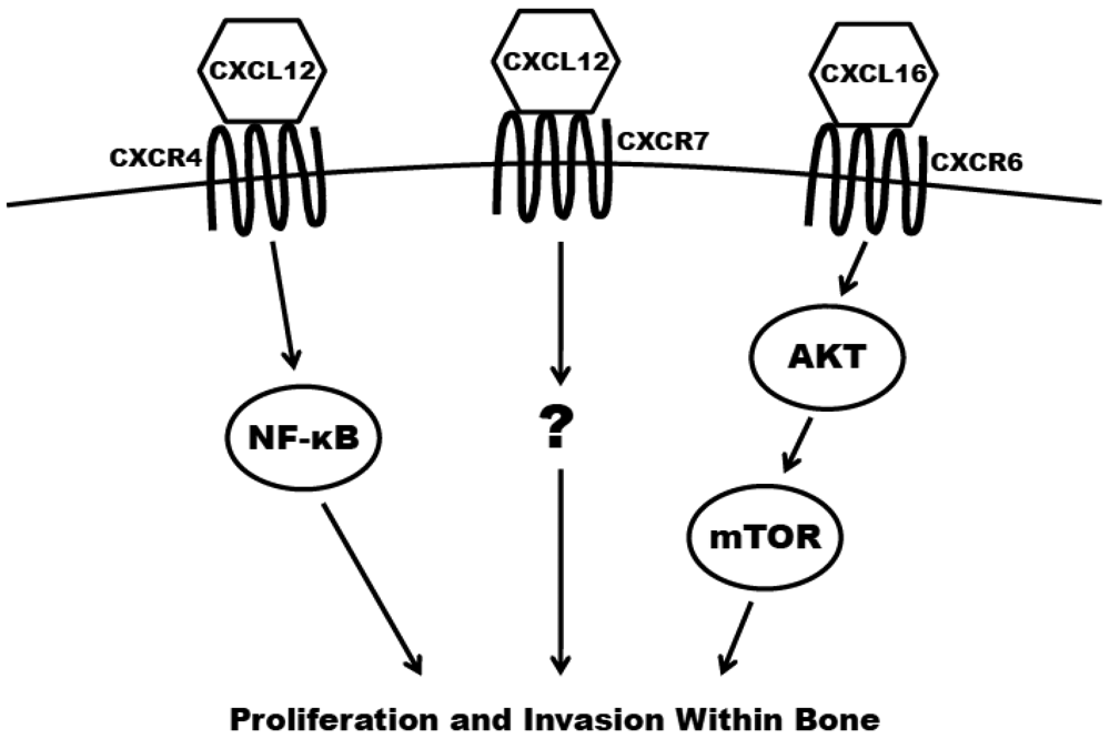 Cancers 03 00478f2 1024