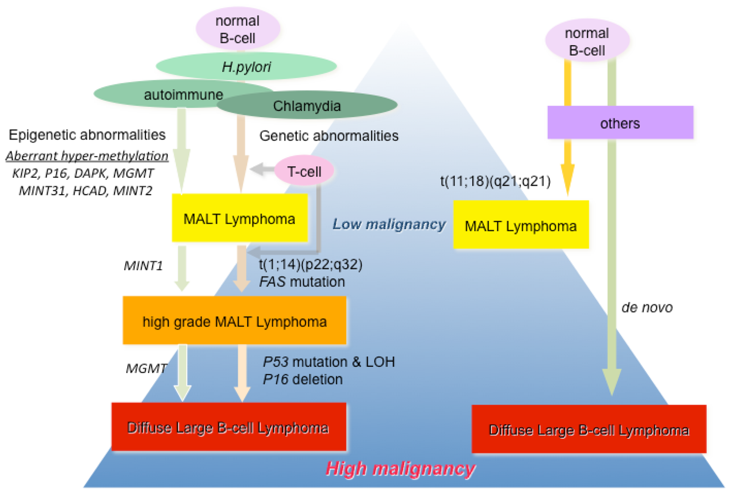 Cancers 03 00568f1 1024