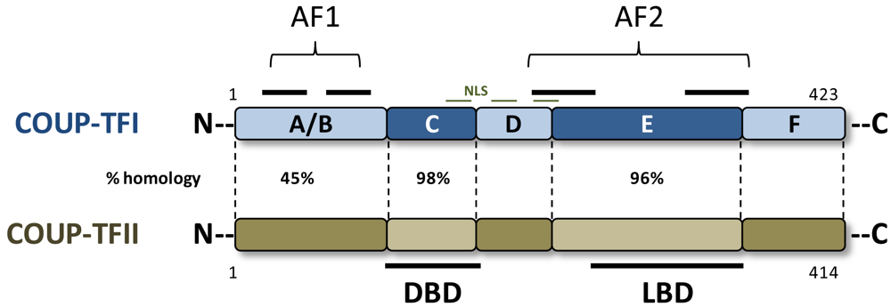 Cancers 03 00700f1 1024