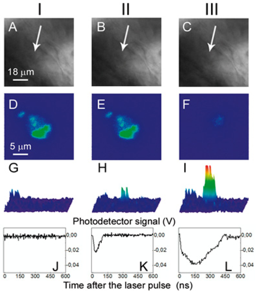 Cancers 03 00802f19 1024