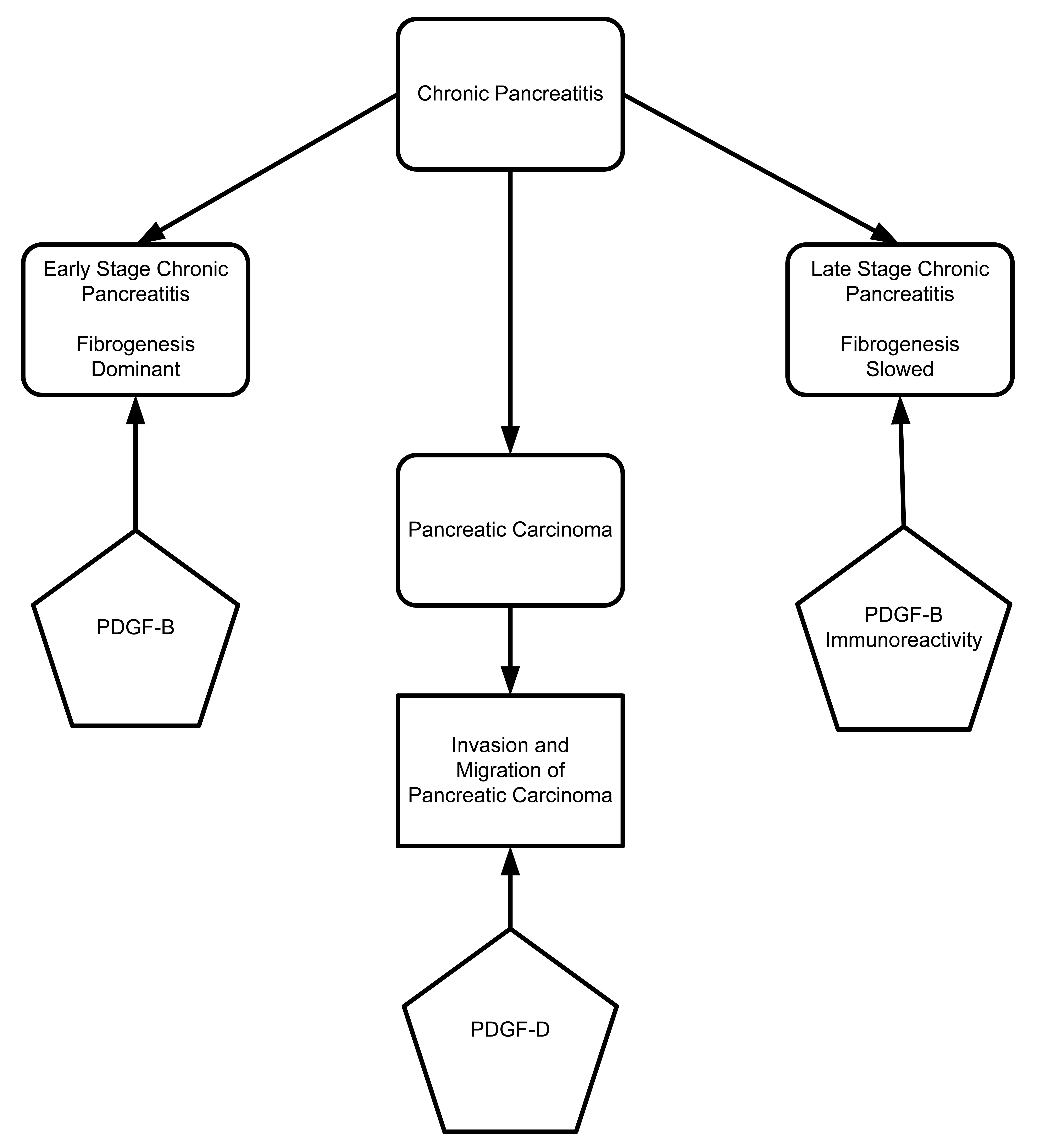 Cancers 03 00841f5 1024