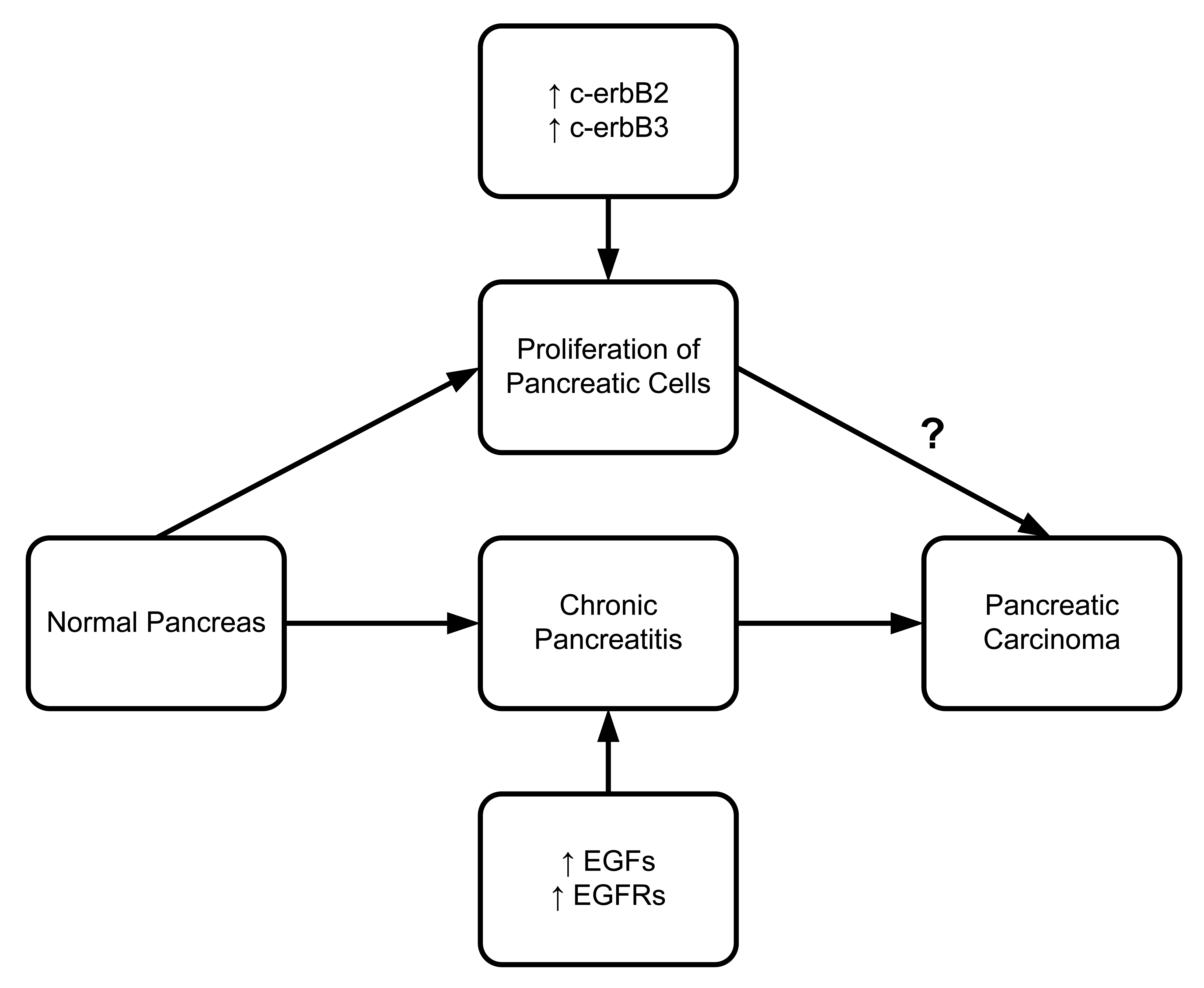 Cancers 03 00841f7 1024