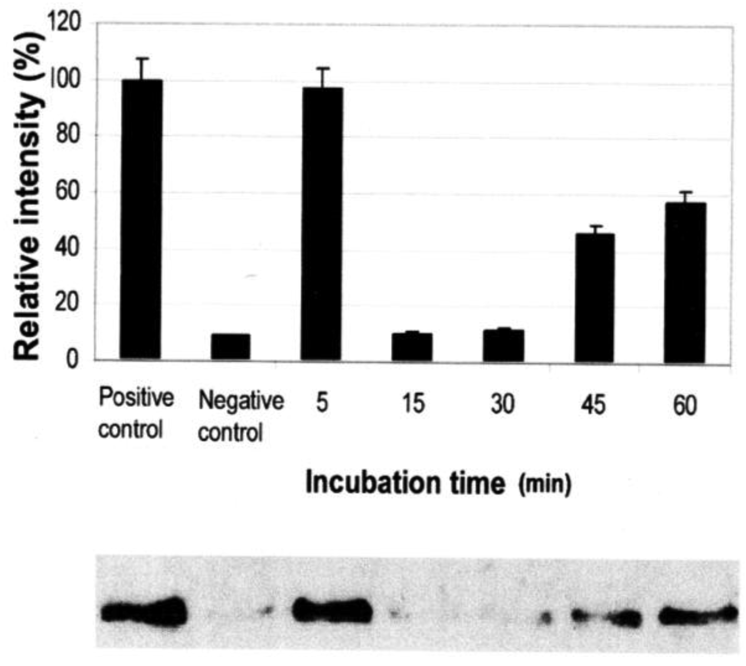 Cancers 03 01182f2 1024