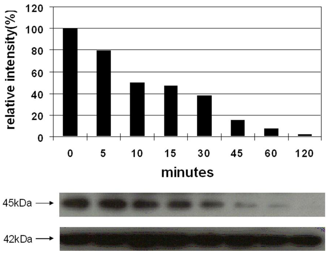 Cancers 03 01182f3 1024